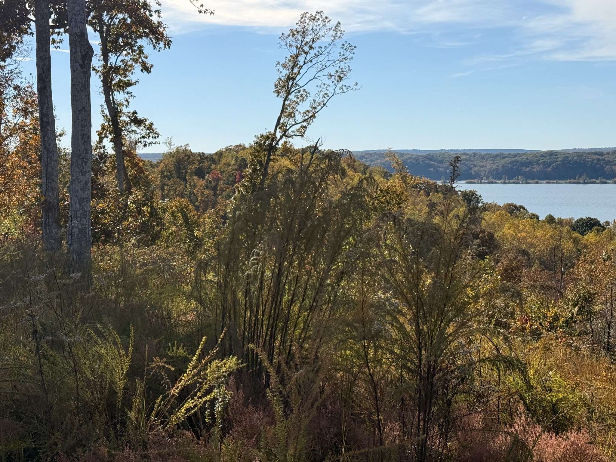 54 Ridge Top Road, Stewart, TN 37175