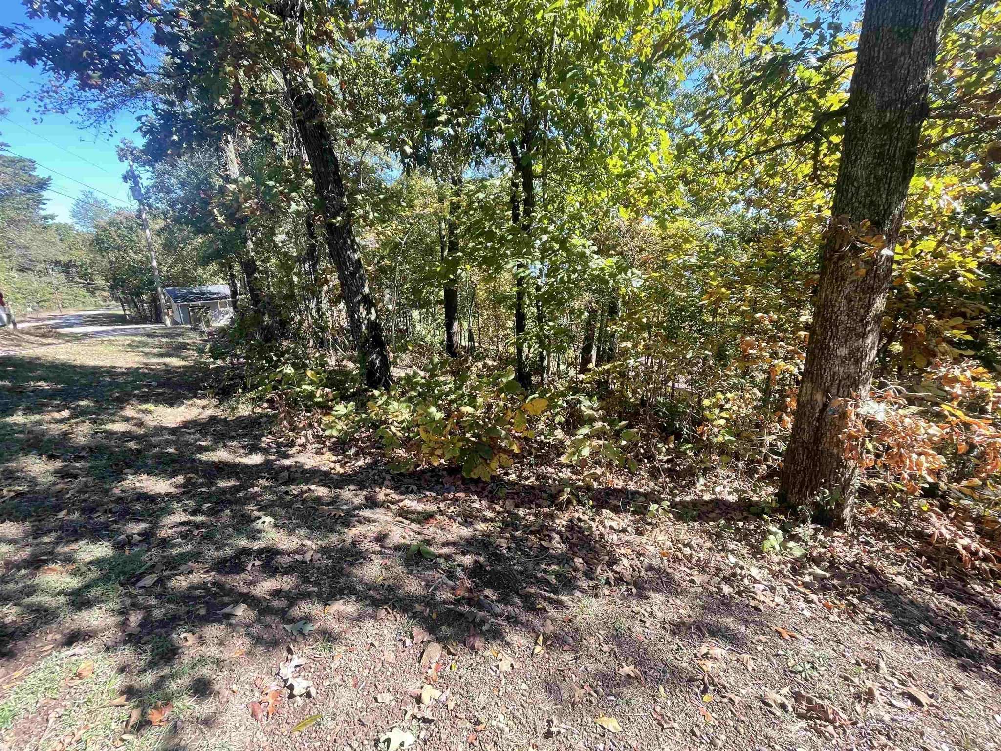 87 CR 262 RD, Iuka, MS 38852