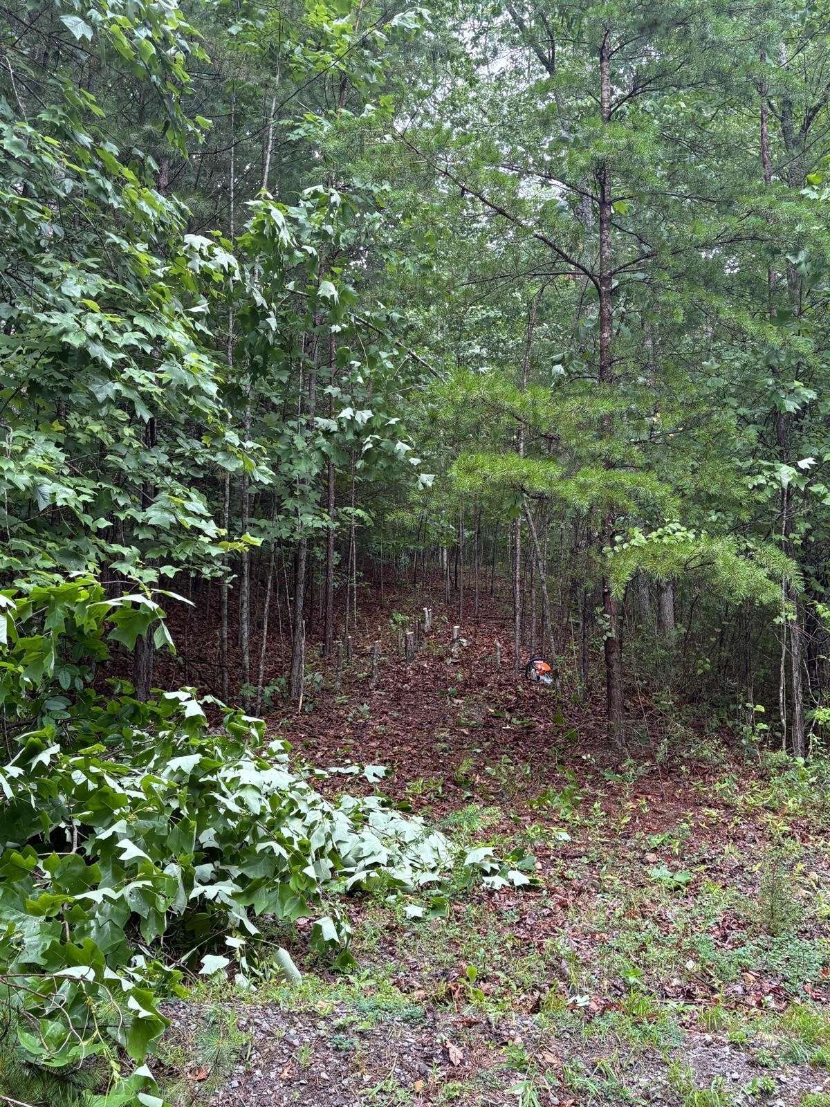 202 Deep Woods Drive, Dunlap, TN 37327