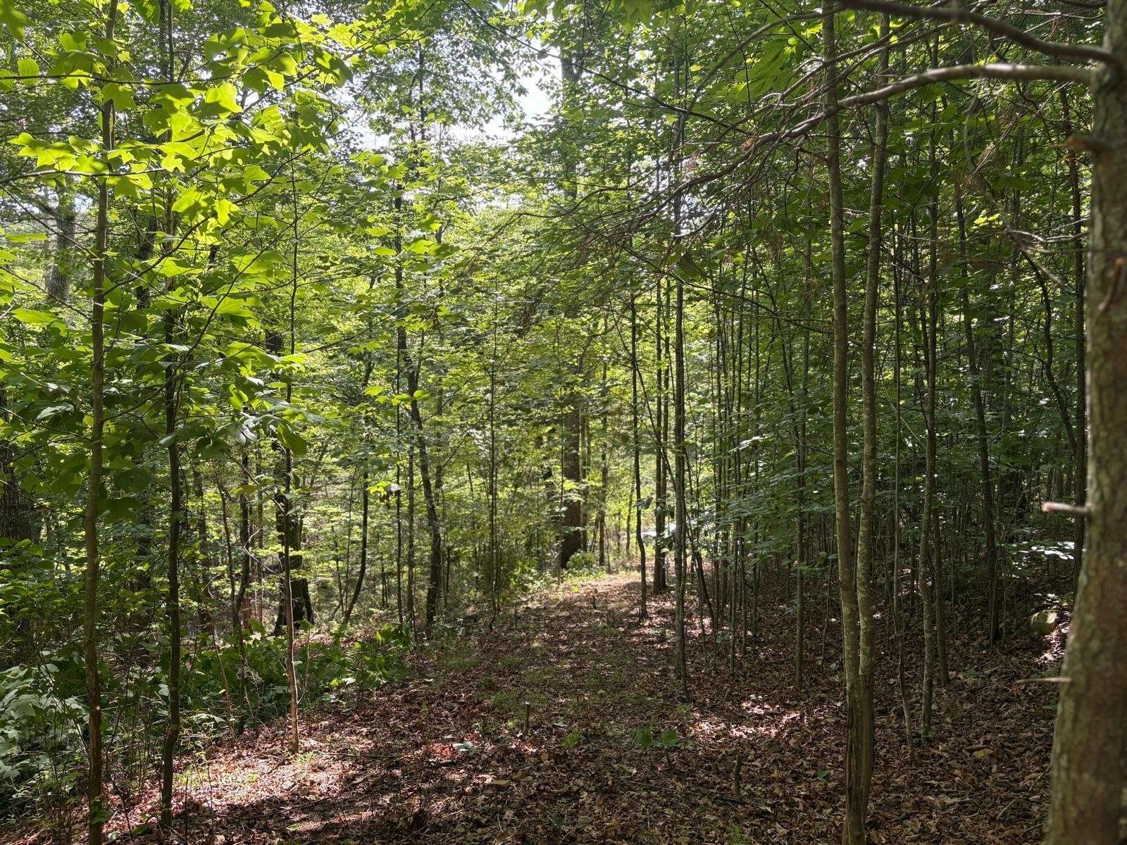 202 Deep Woods Drive, Dunlap, TN 37327