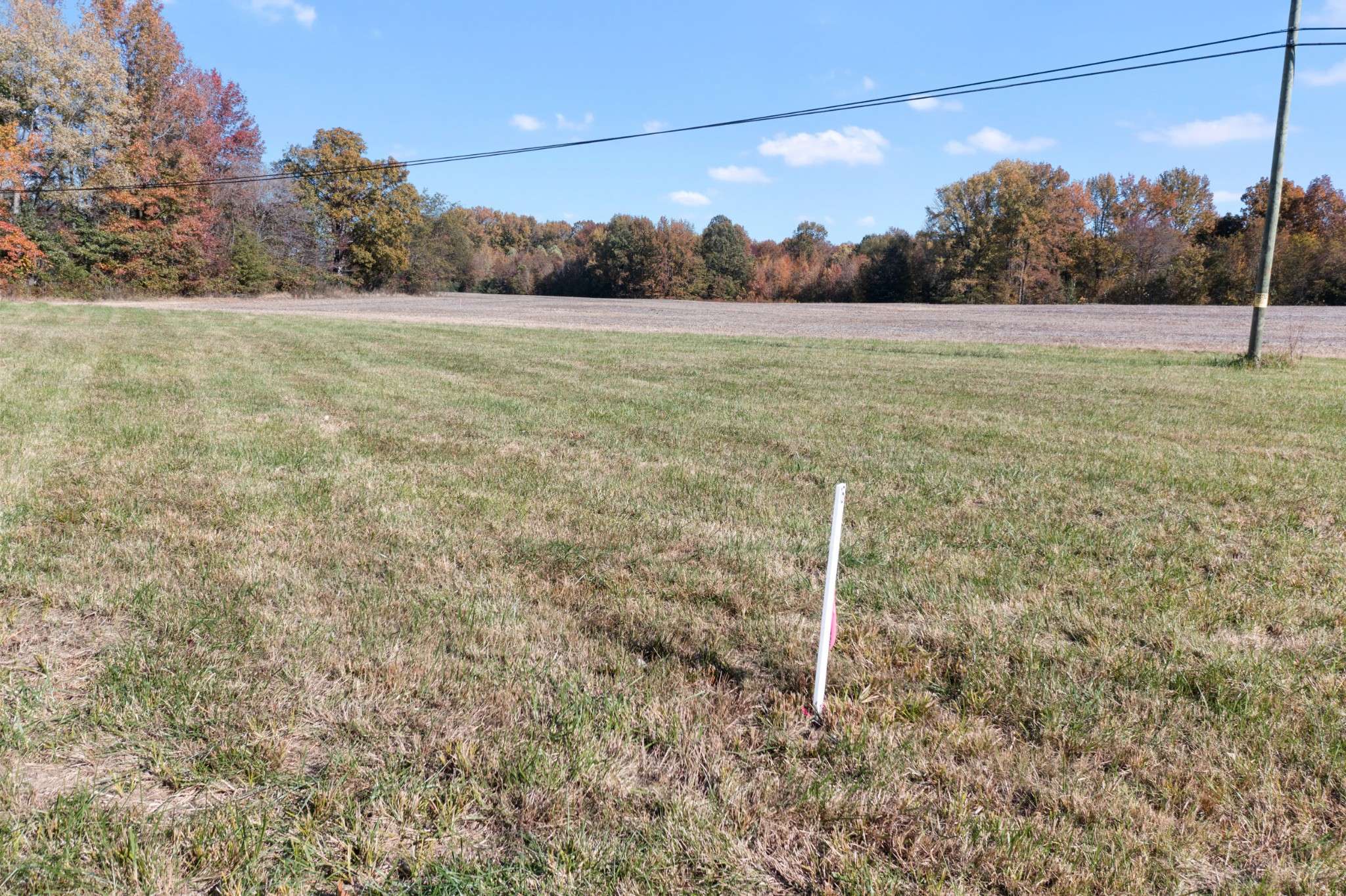 0 Hwy 431 #N, Springfield, TN 37172