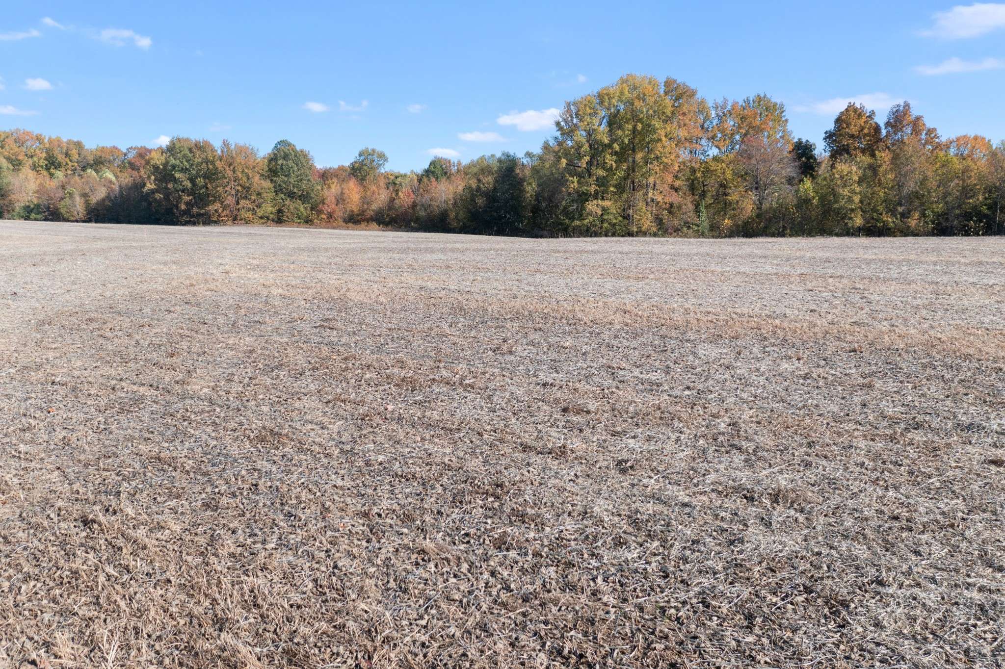 0 Hwy 431 #N, Springfield, TN 37172
