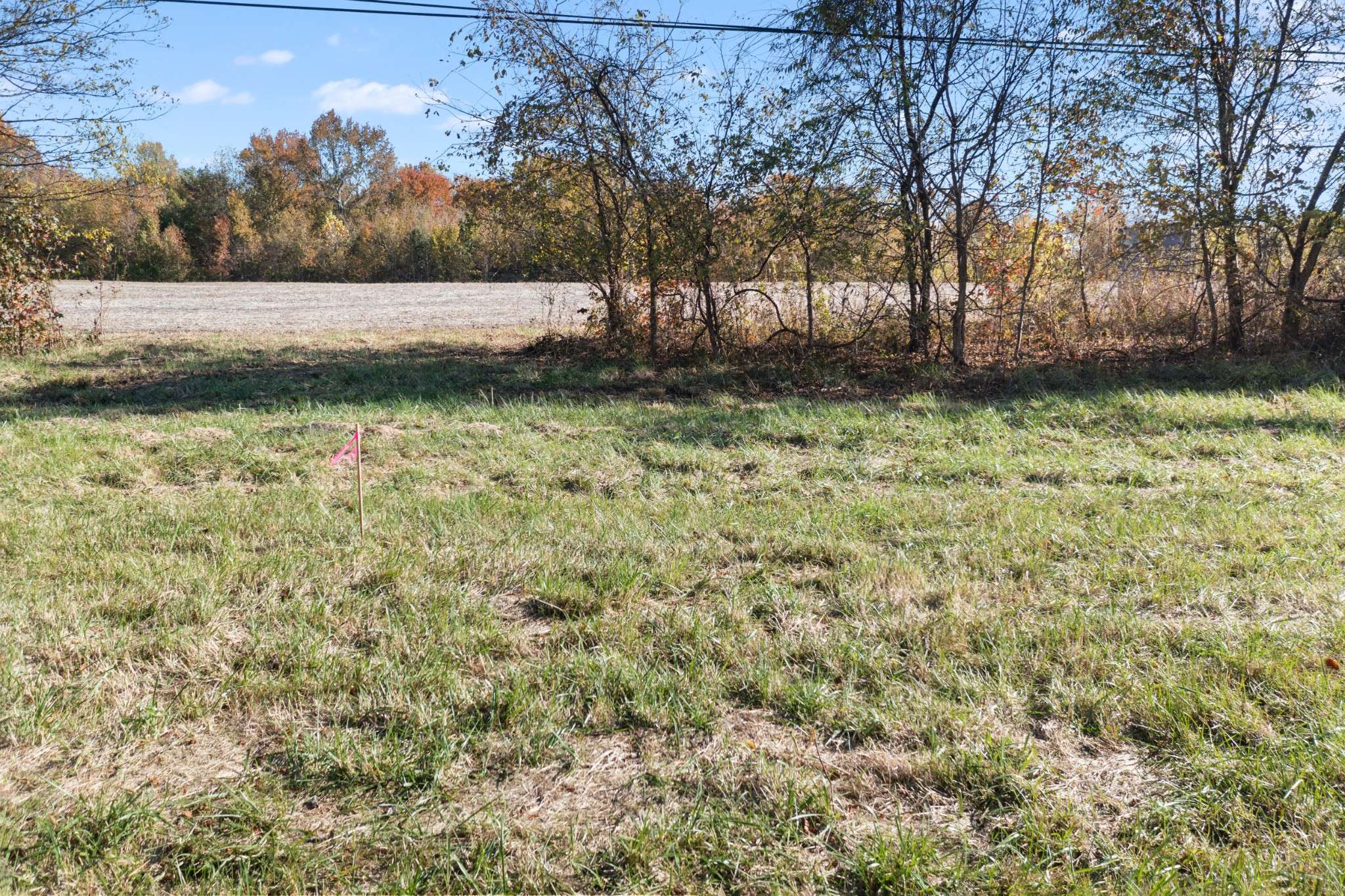 0 Hwy 431 #N, Springfield, TN 37172