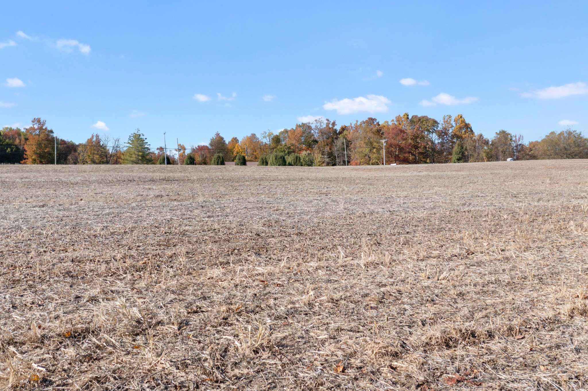 0 Hwy 431 #N, Springfield, TN 37172
