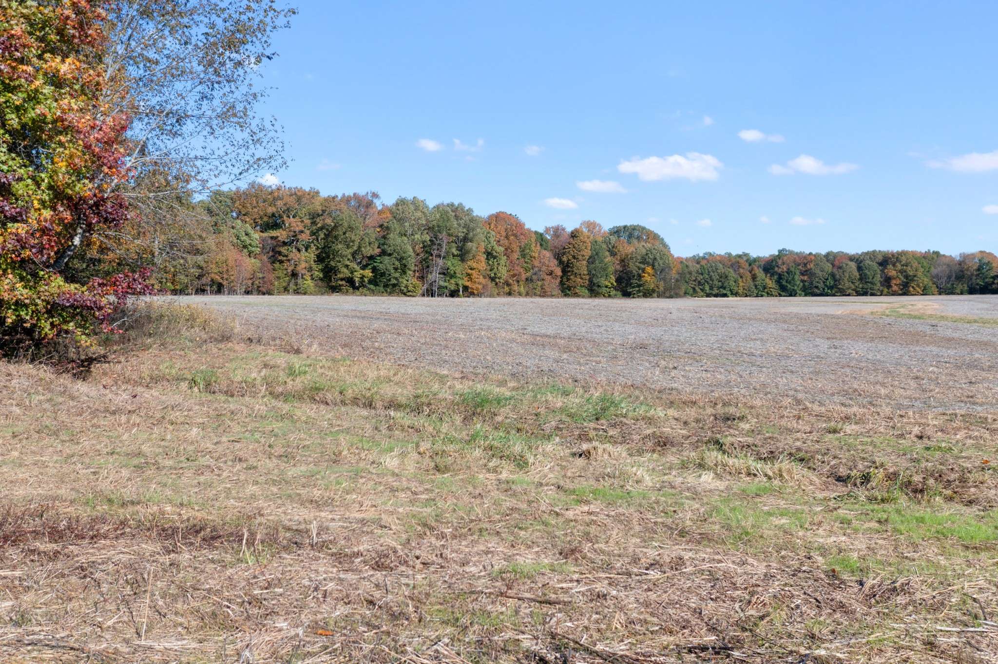 0 Hwy 431 #N, Springfield, TN 37172
