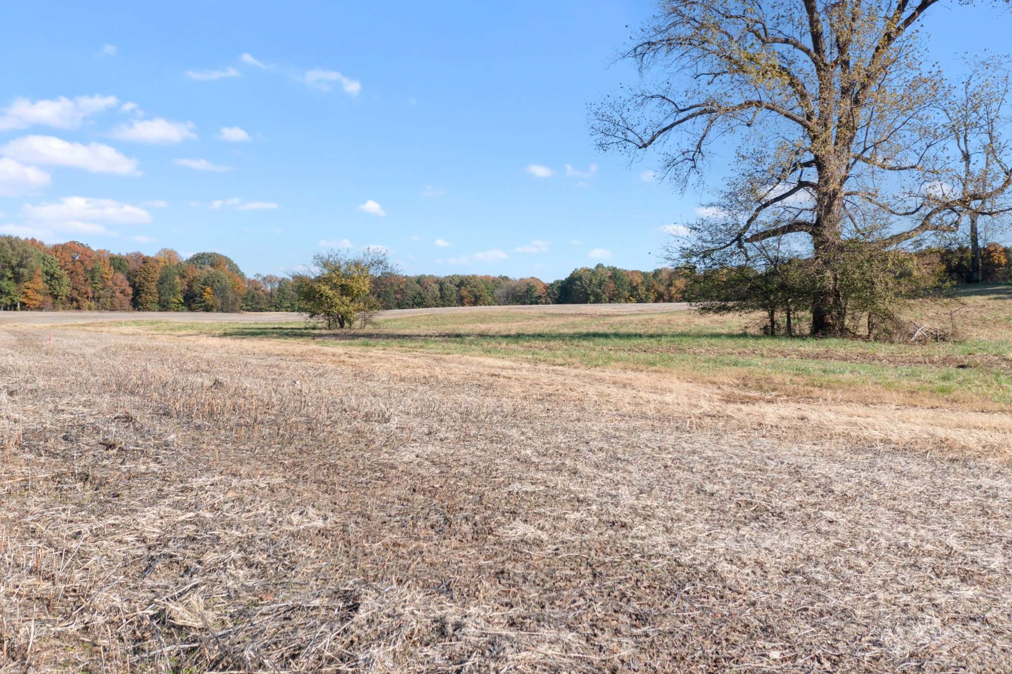 0 Hwy 431 #N, Springfield, TN 37172