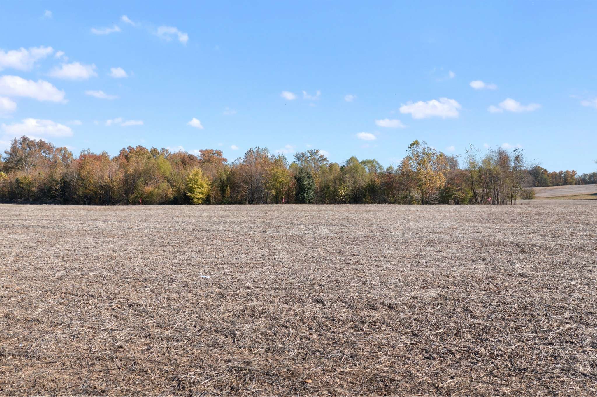 0 Hwy 431 #N, Springfield, TN 37172