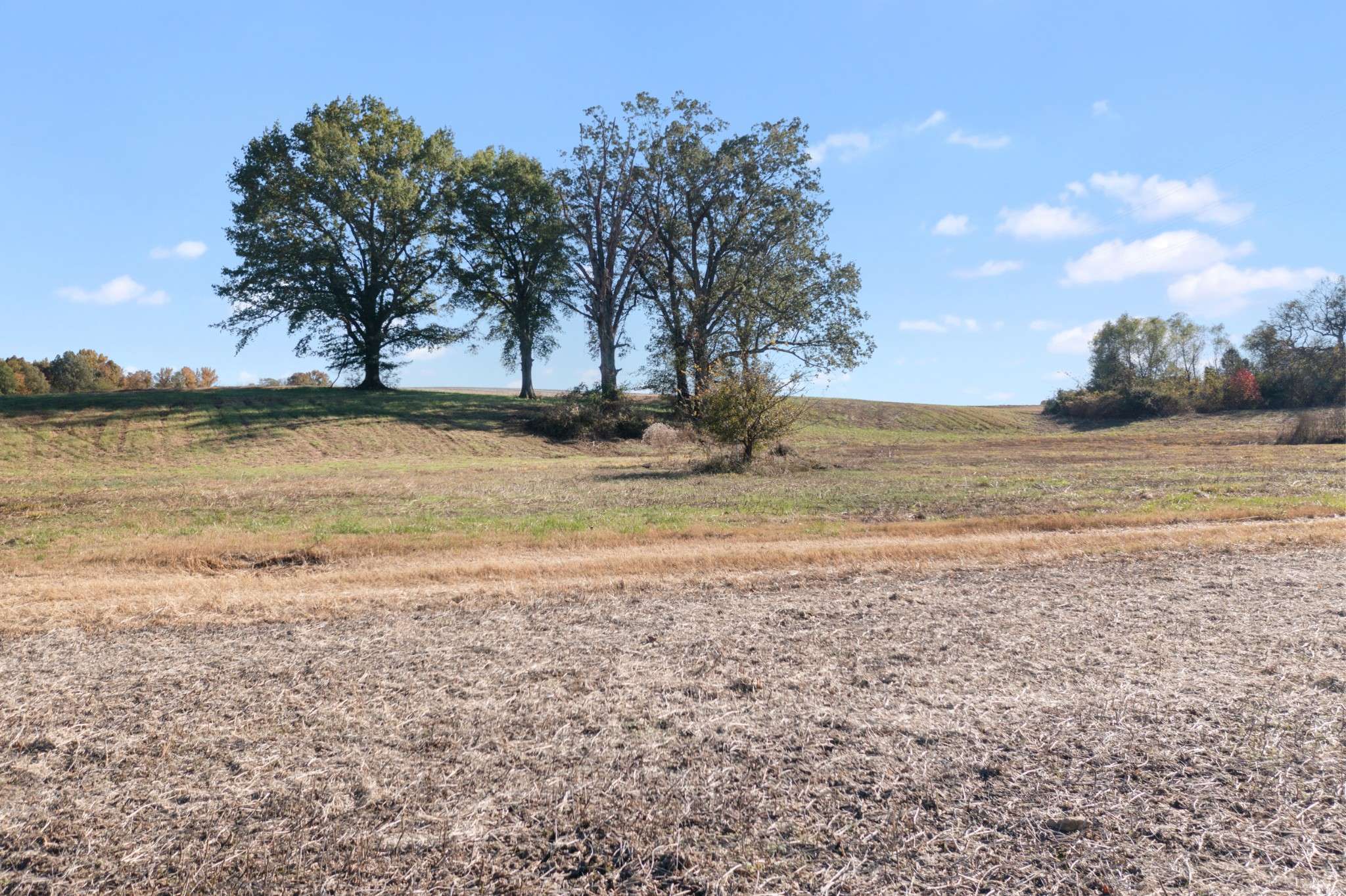 0 Hwy 431 #N, Springfield, TN 37172
