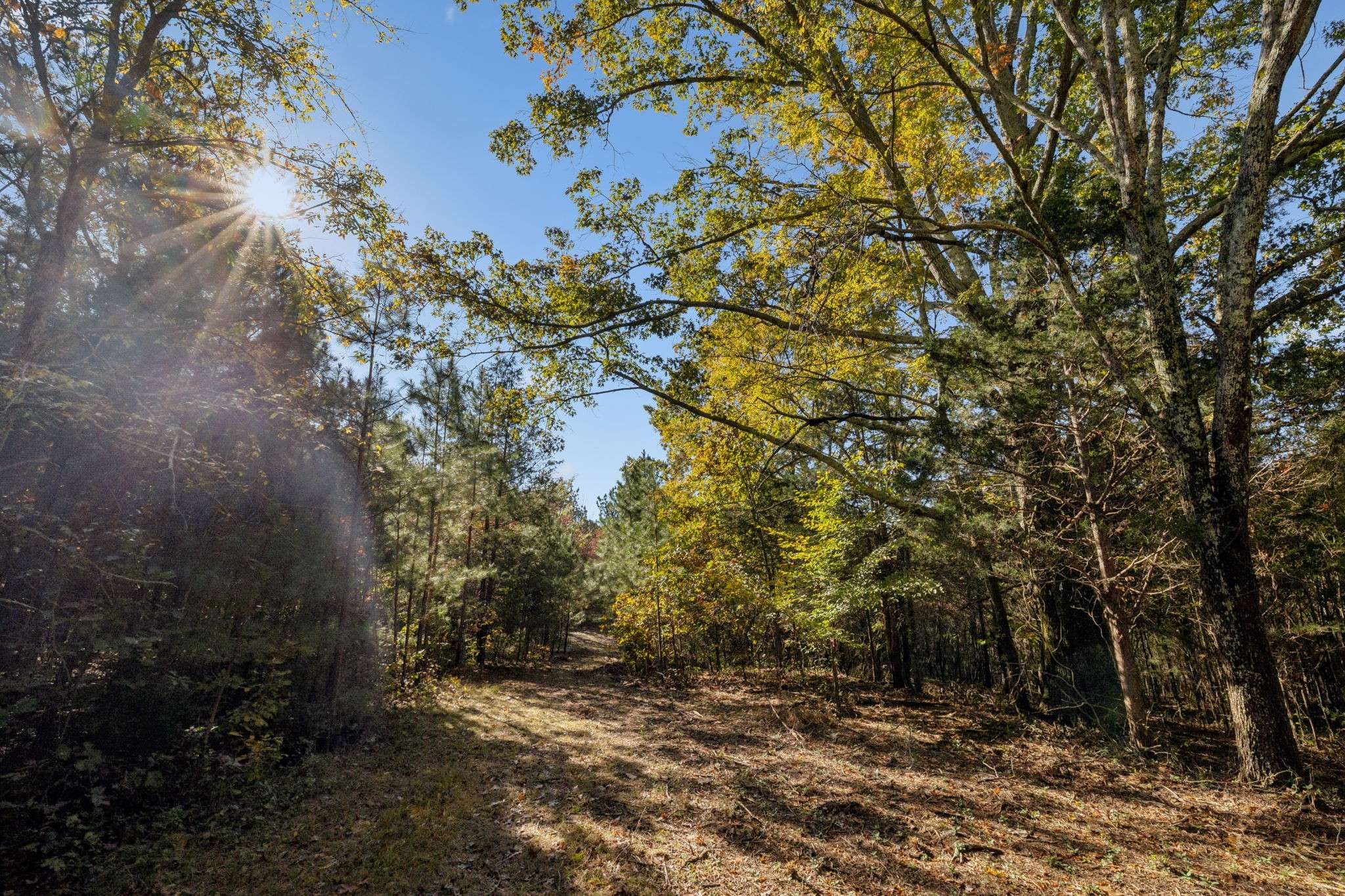 7489 Shoals Branch Rd, Primm Springs, TN 38476