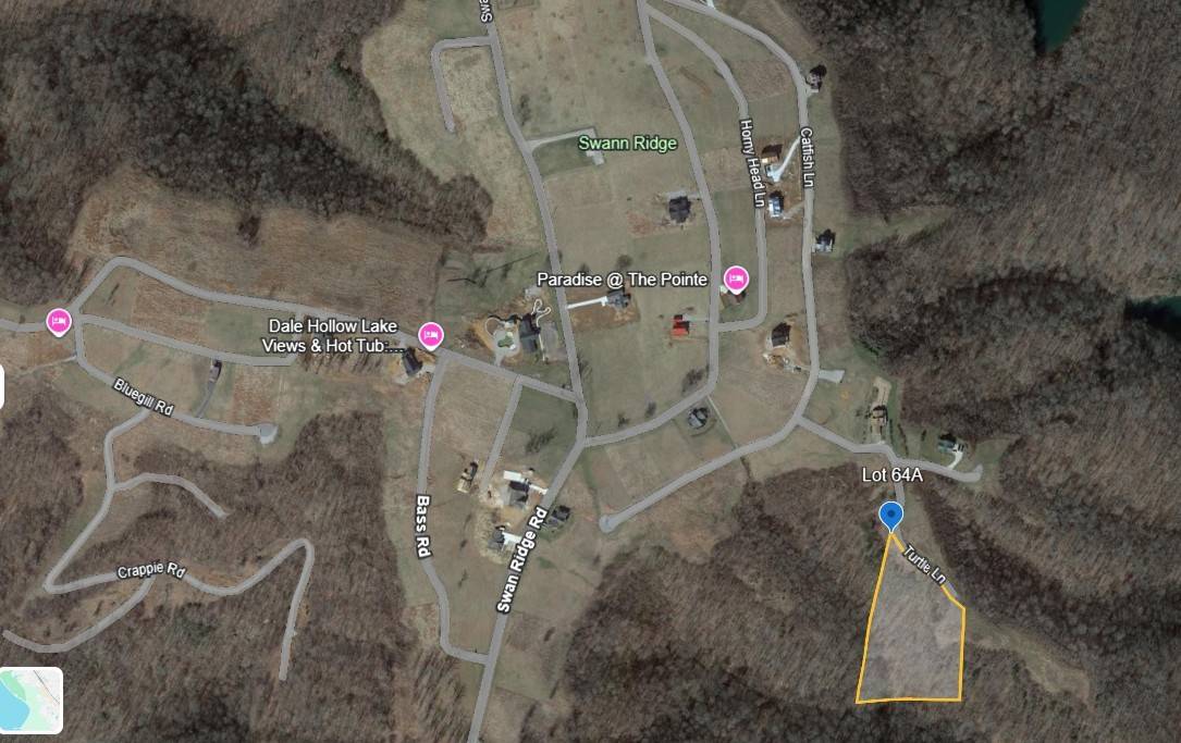 0 Turtle Lane, Hilham, TN 38568