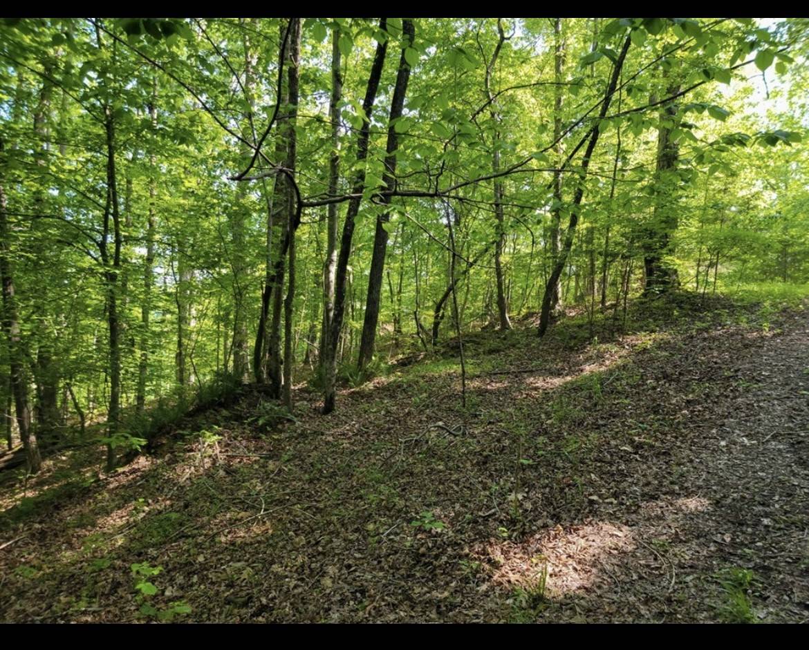 0 Shetland trace, Sparta, TN 38583
