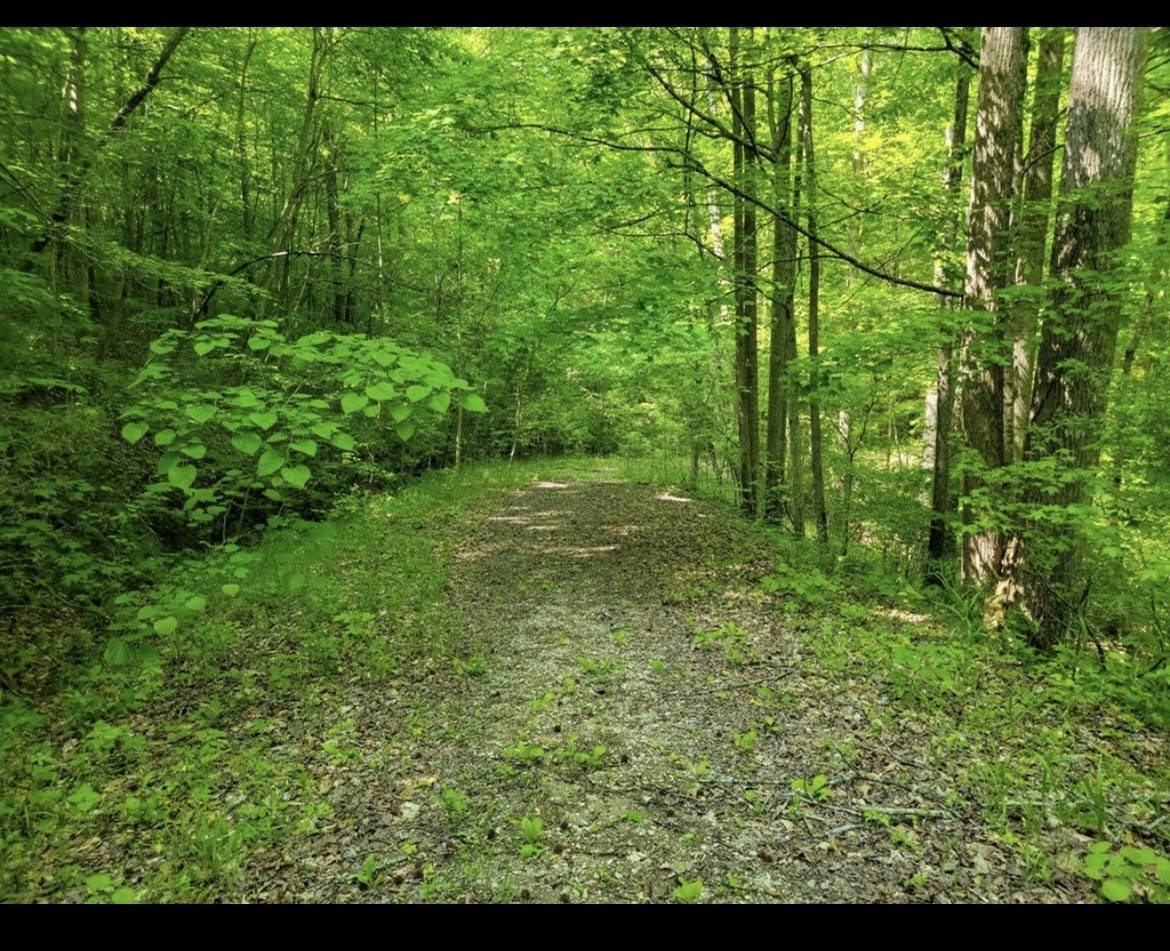 0 Shetland trace, Sparta, TN 38583