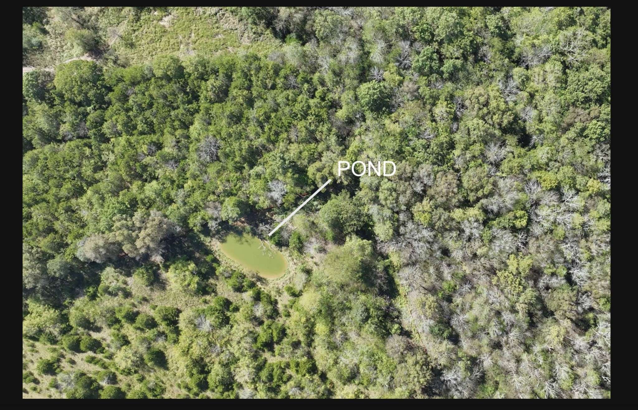 9919 Maupin Rd, Brentwood, TN 37027