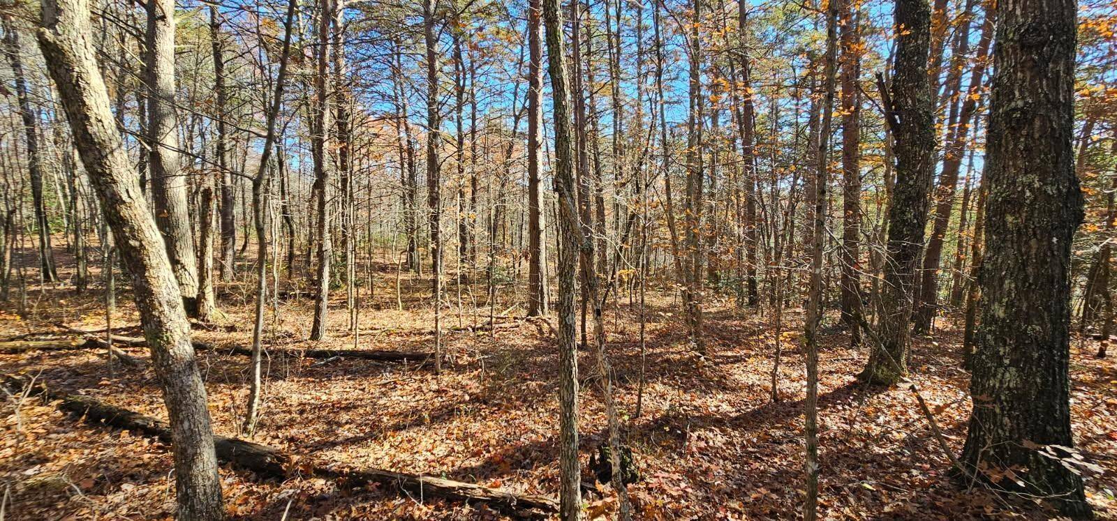 0 Woods Rd, Dunlap, TN 37327