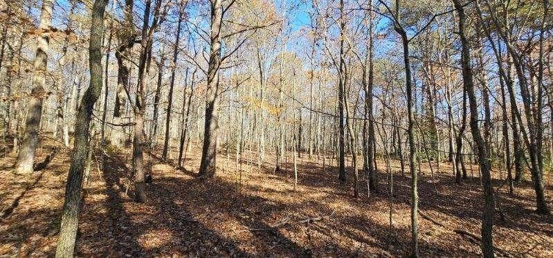 0 Woods Rd, Dunlap, TN 37327