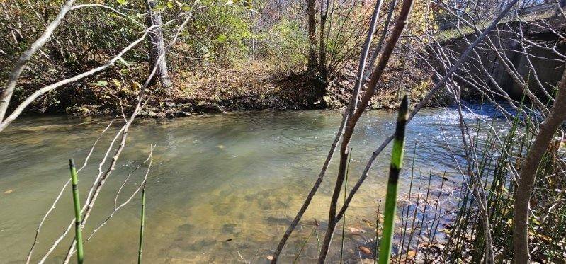 0 Woods Rd, Dunlap, TN 37327