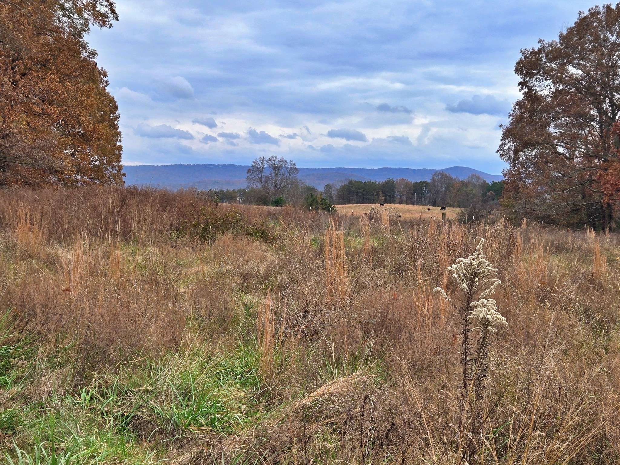 0 Hidden River Rd, Rock Island, TN 38581