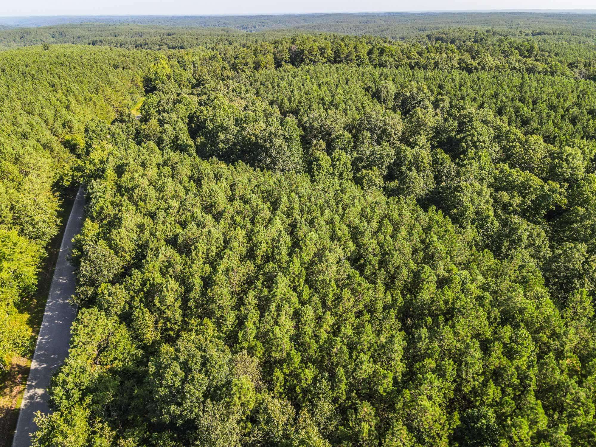 0 Brush Creek Rd, Hohenwald, TN 38462
