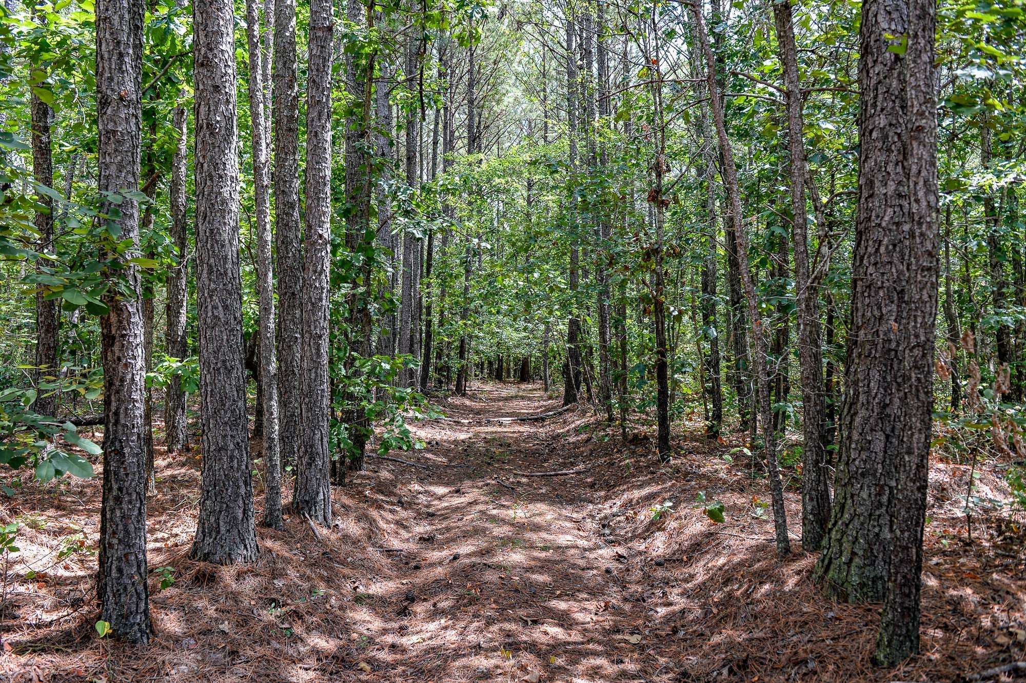 0 Brush Creek Rd, Hohenwald, TN 38462
