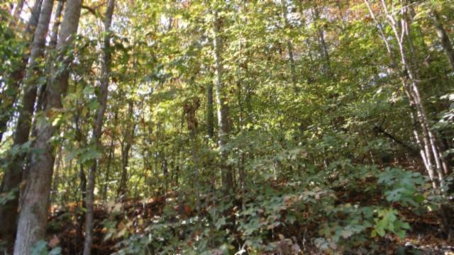 0 Moss Arcot Rd, Celina, TN 38551