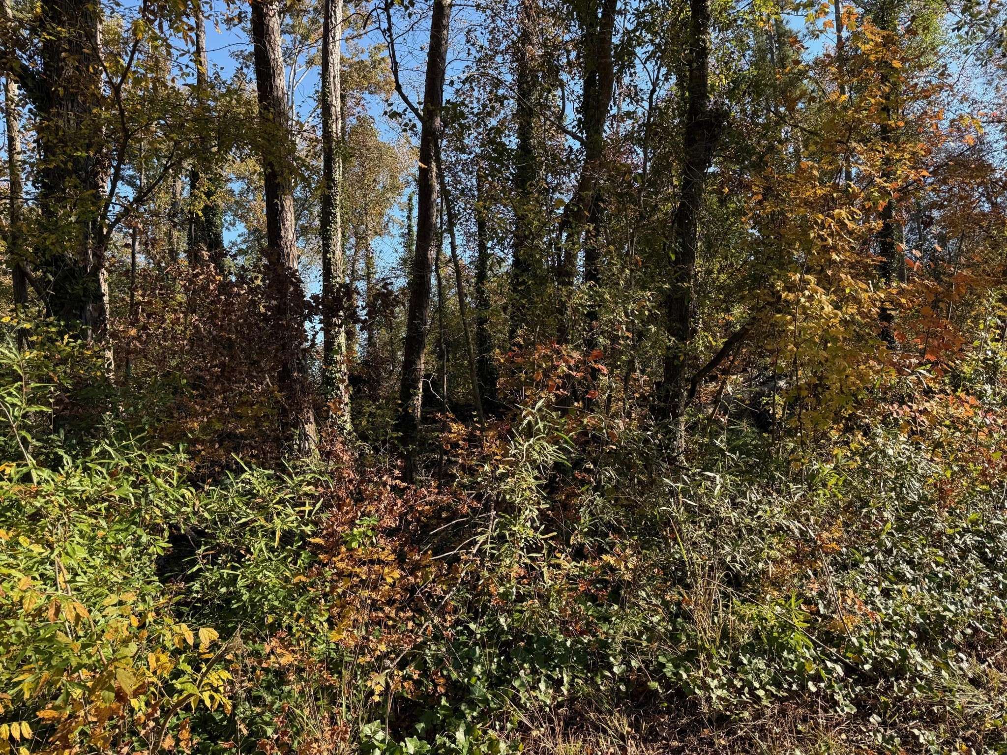 0 Apache Road, Jackson, GA 30233
