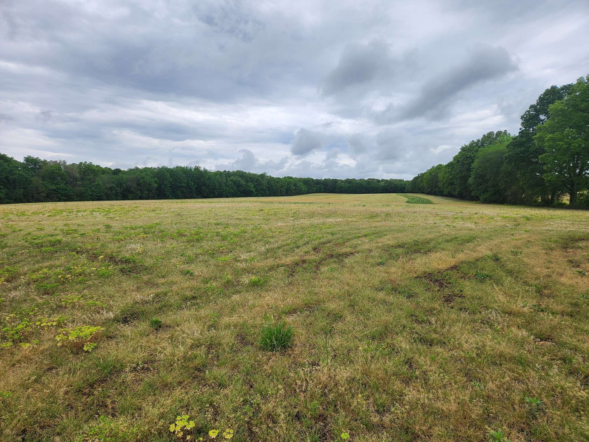 0 Fredonia Rd, Manchester, TN 37355