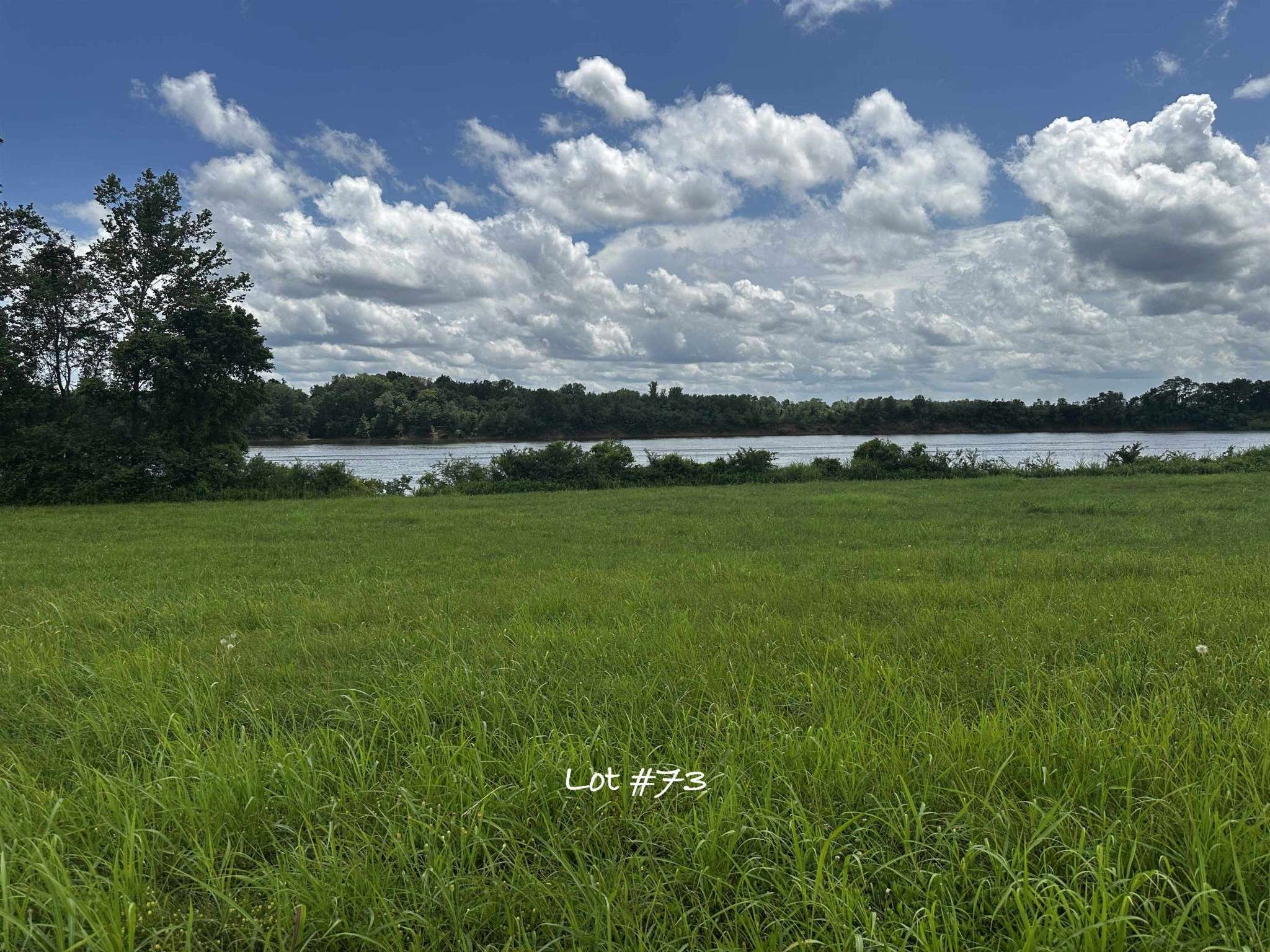 0 CATFISH LN, Crump, TN 38327