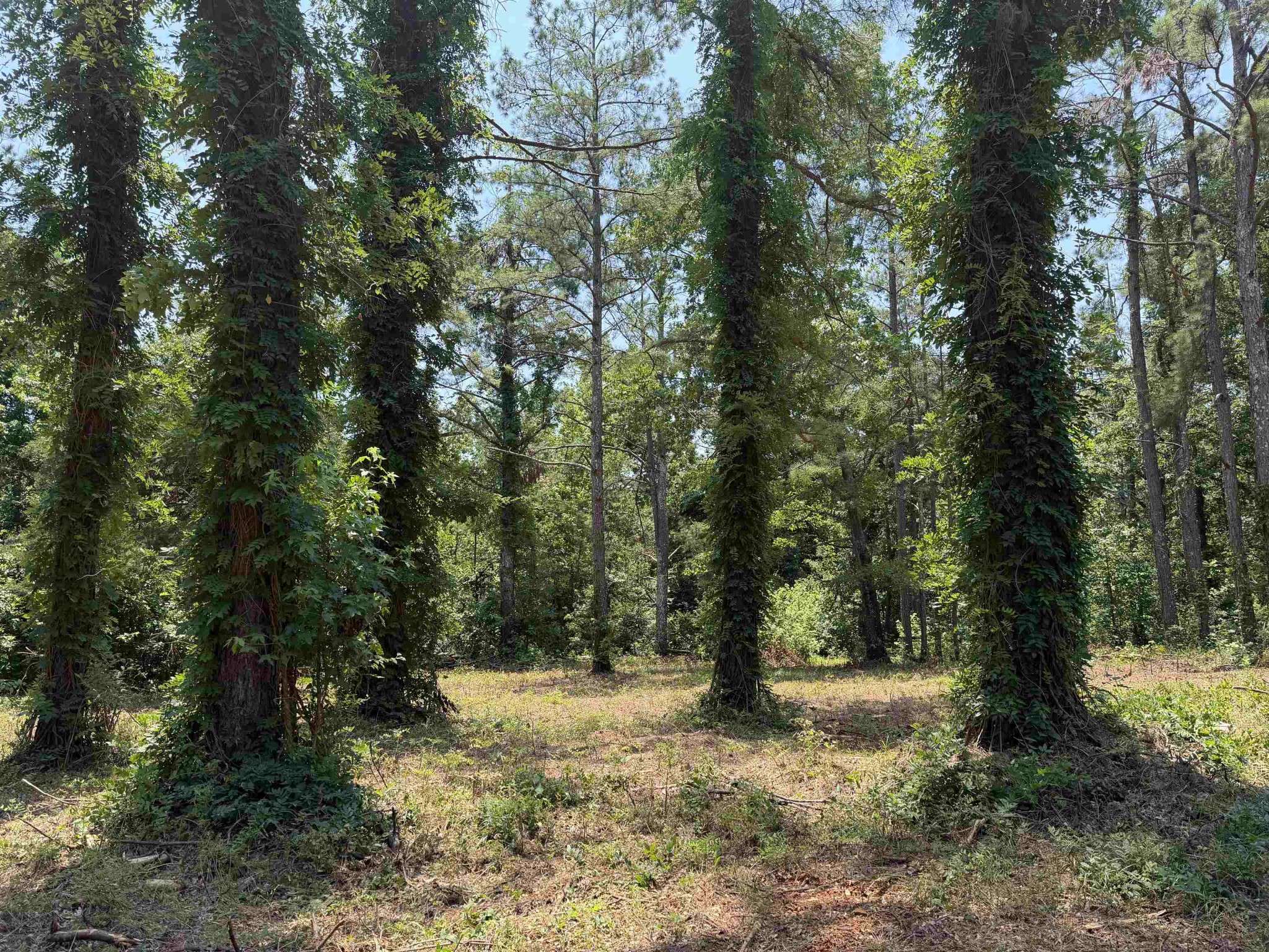 0 Hwy 57, Michie, TN 38357