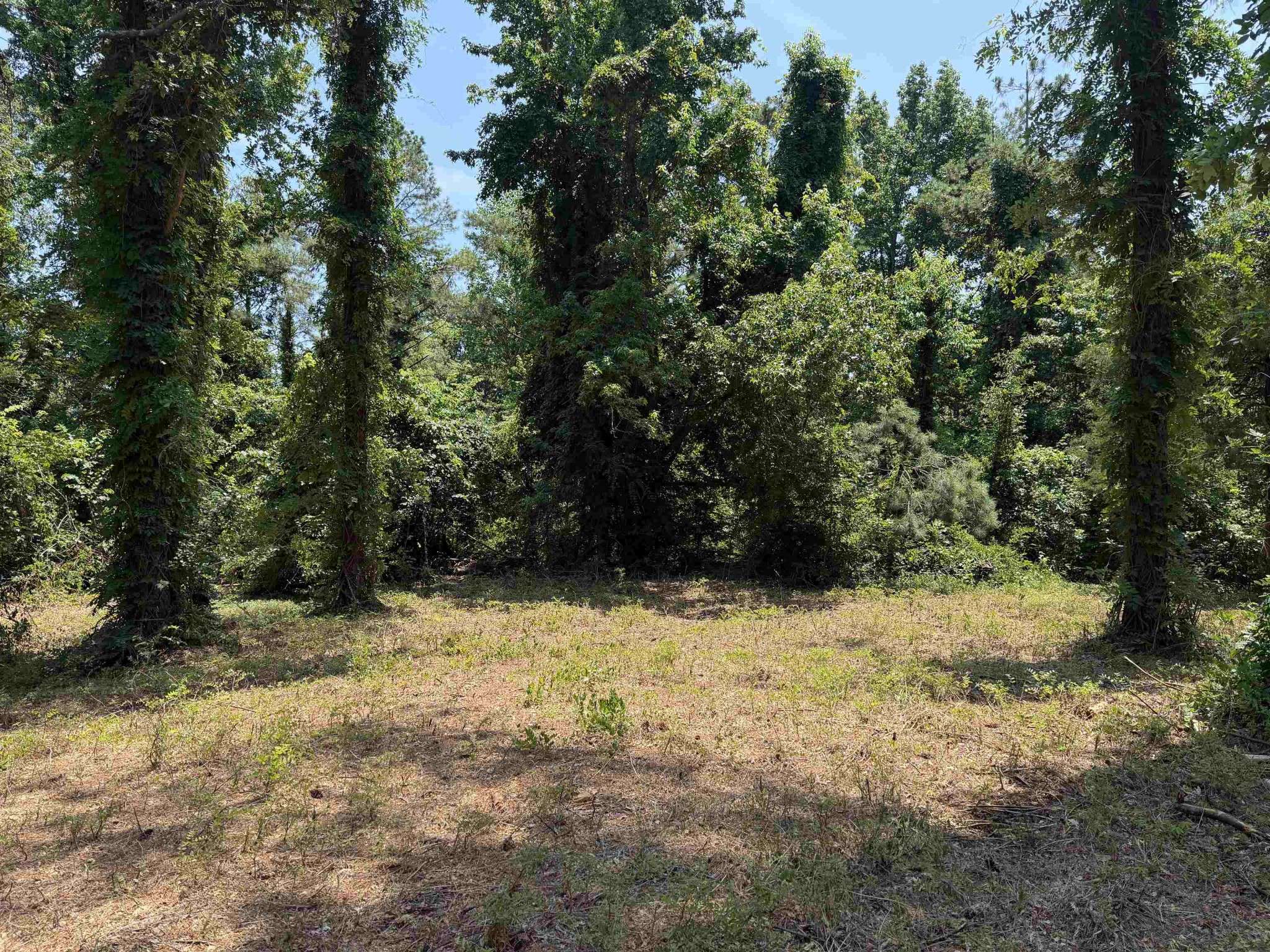 0 Hwy 57, Michie, TN 38357