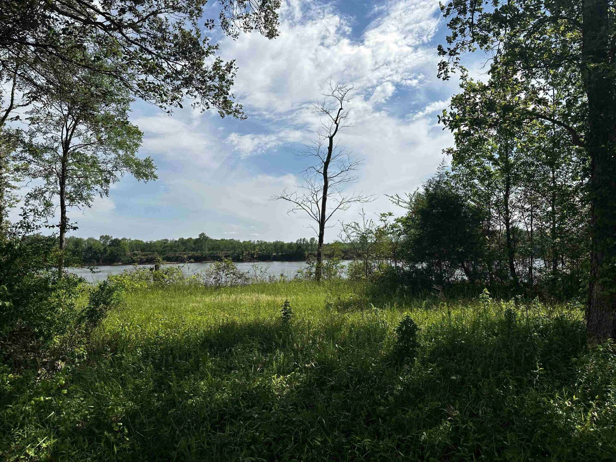 0 CATFISH LN, Crump, TN 38327