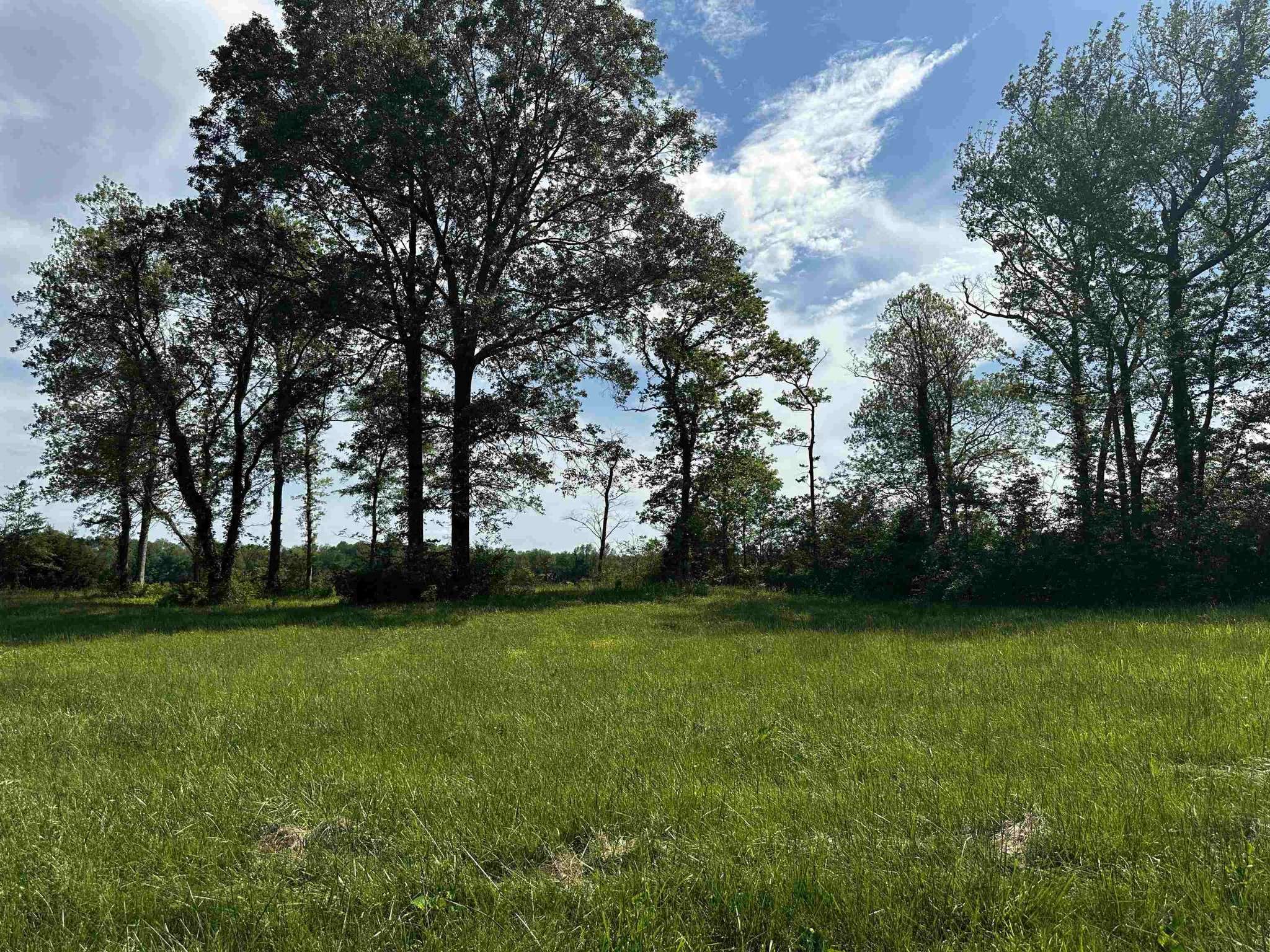 0 CATFISH LN, Crump, TN 38327