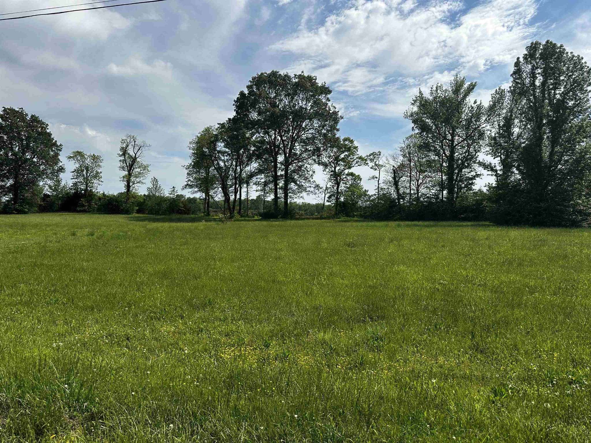 0 CATFISH LN, Crump, TN 38327