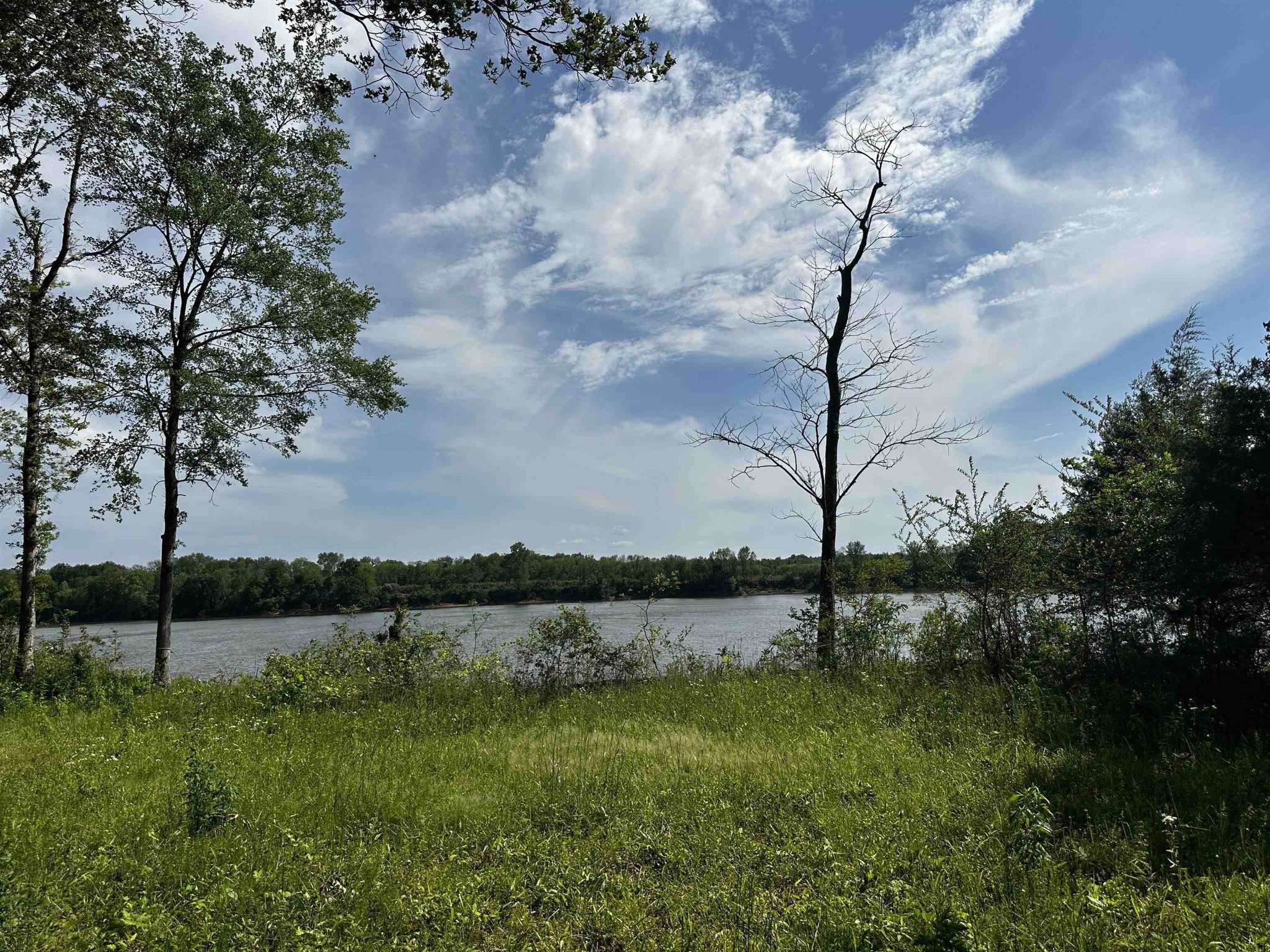 0 CATFISH LN, Crump, TN 38327