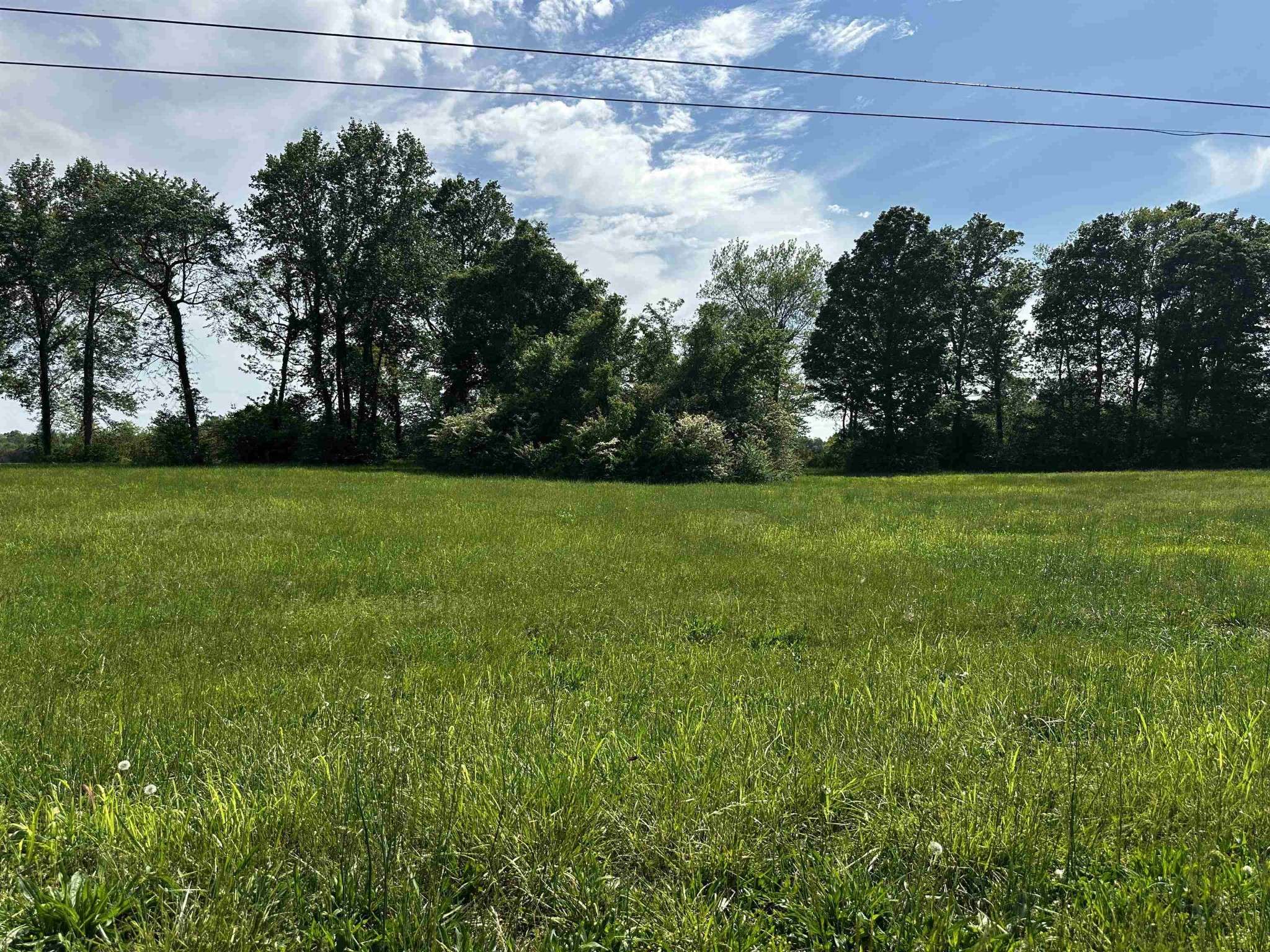 0 CATFISH LN, Crump, TN 38327