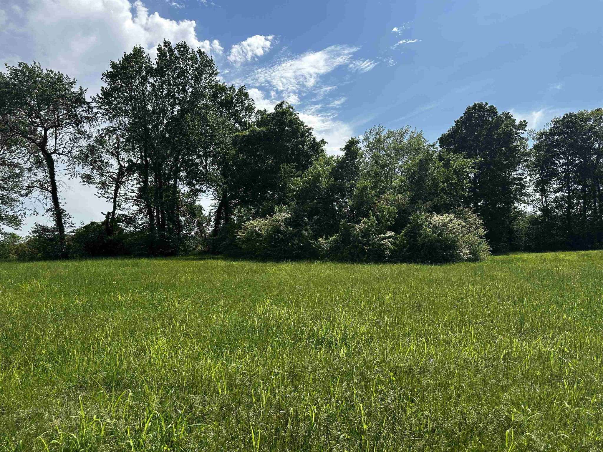 0 CATFISH LN, Crump, TN 38327