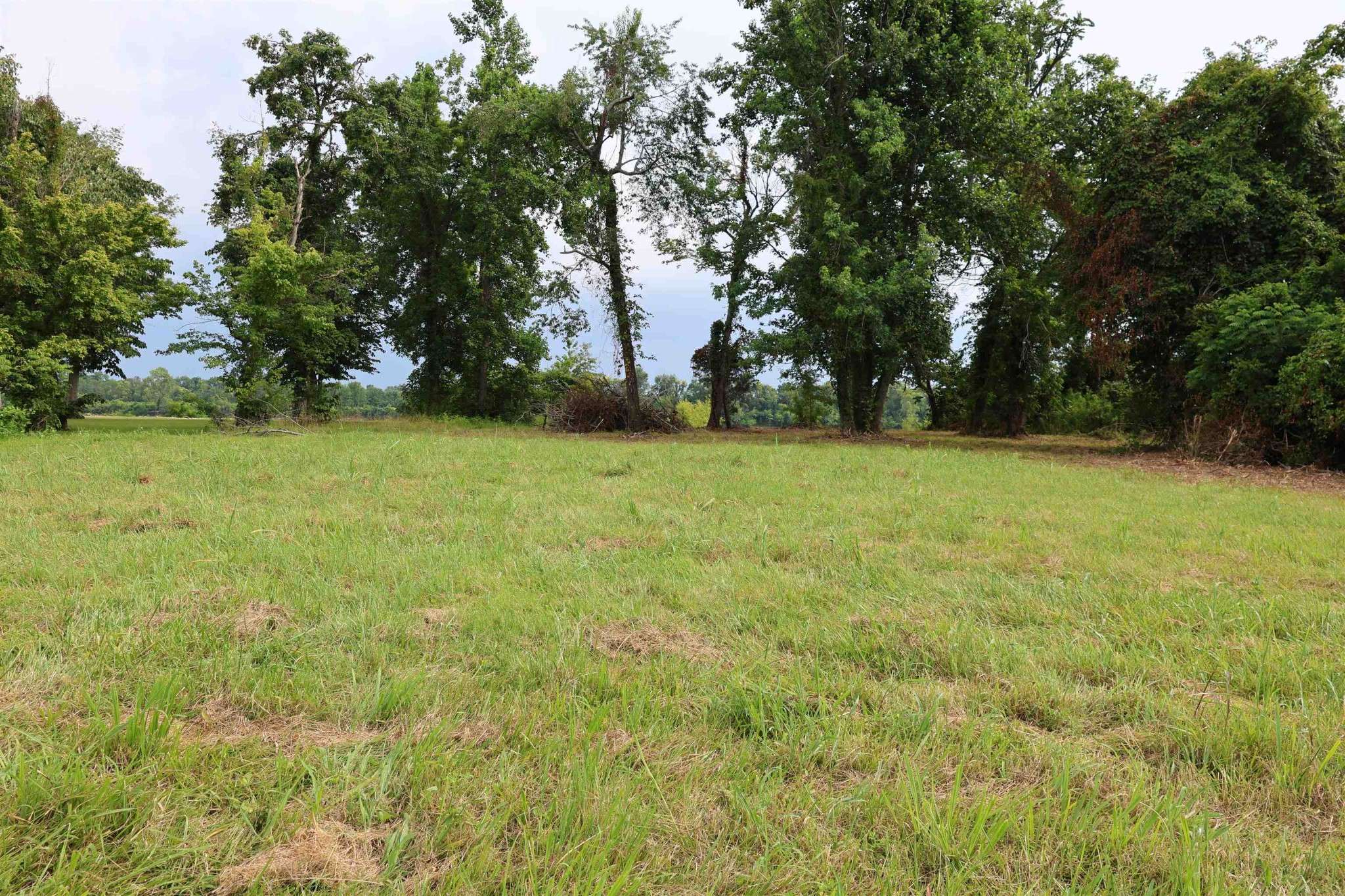 0 CATFISH LN, Crump, TN 38327