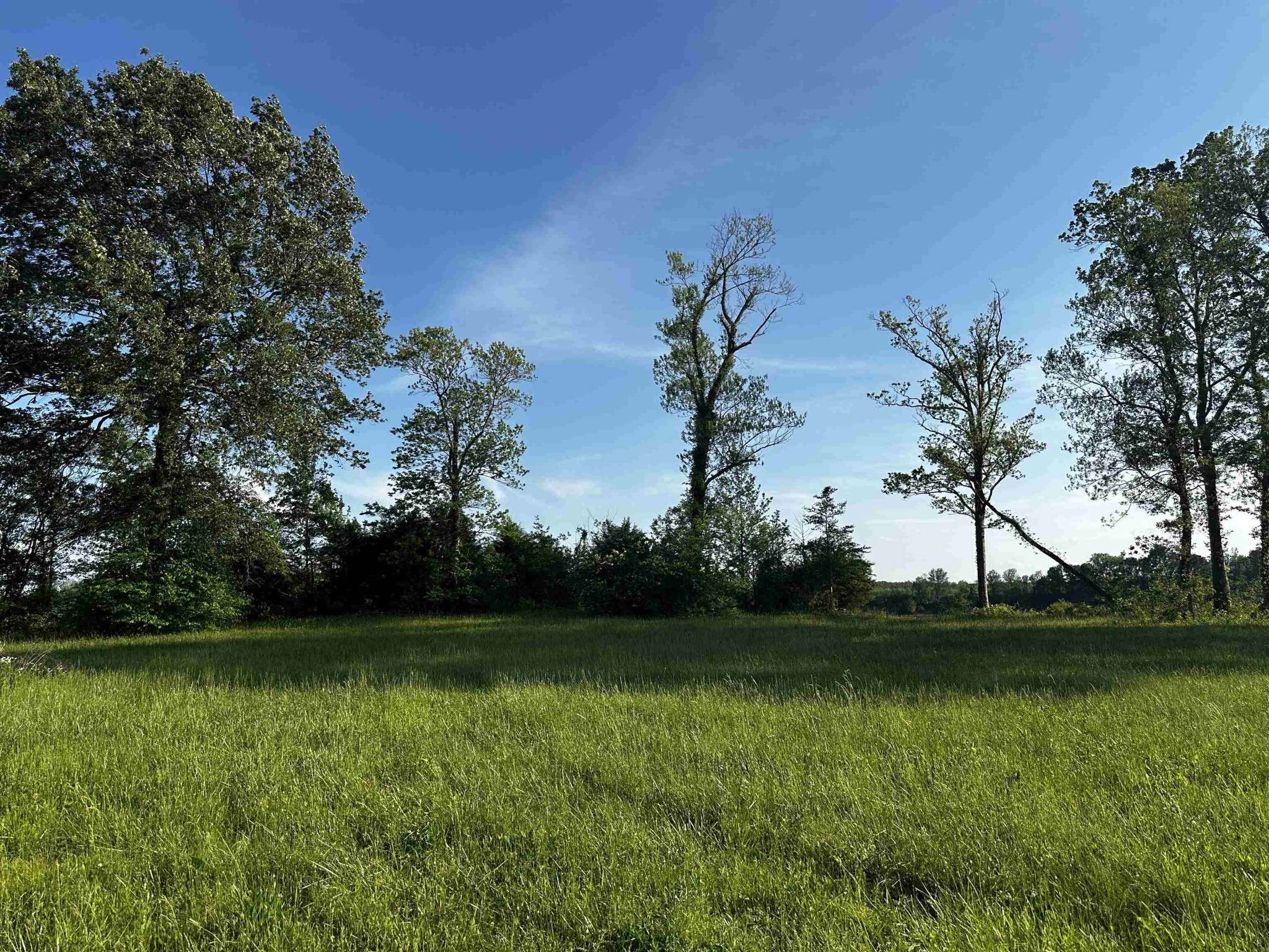 0 CATFISH LN, Crump, TN 38327