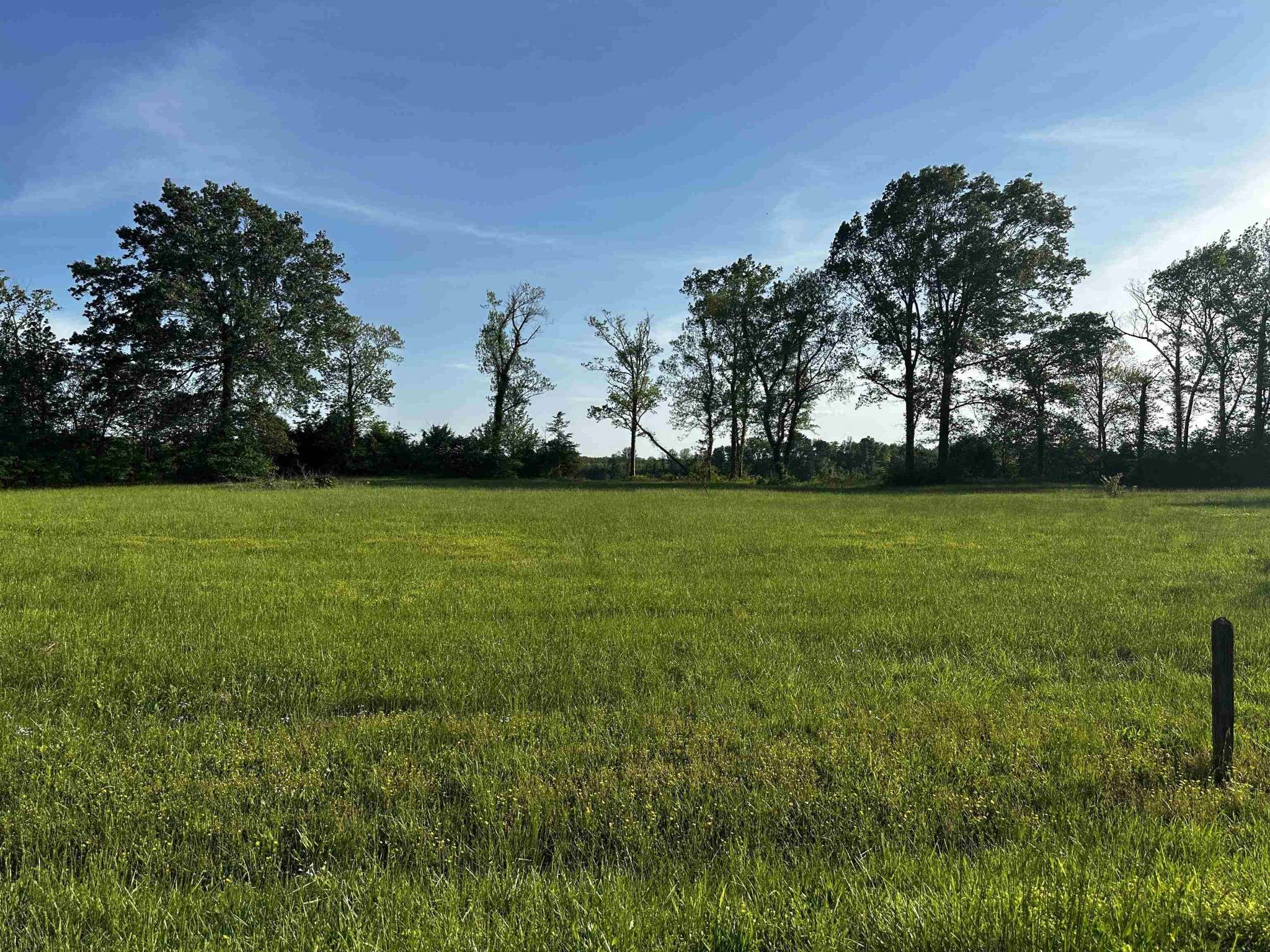 0 CATFISH LN, Crump, TN 38327