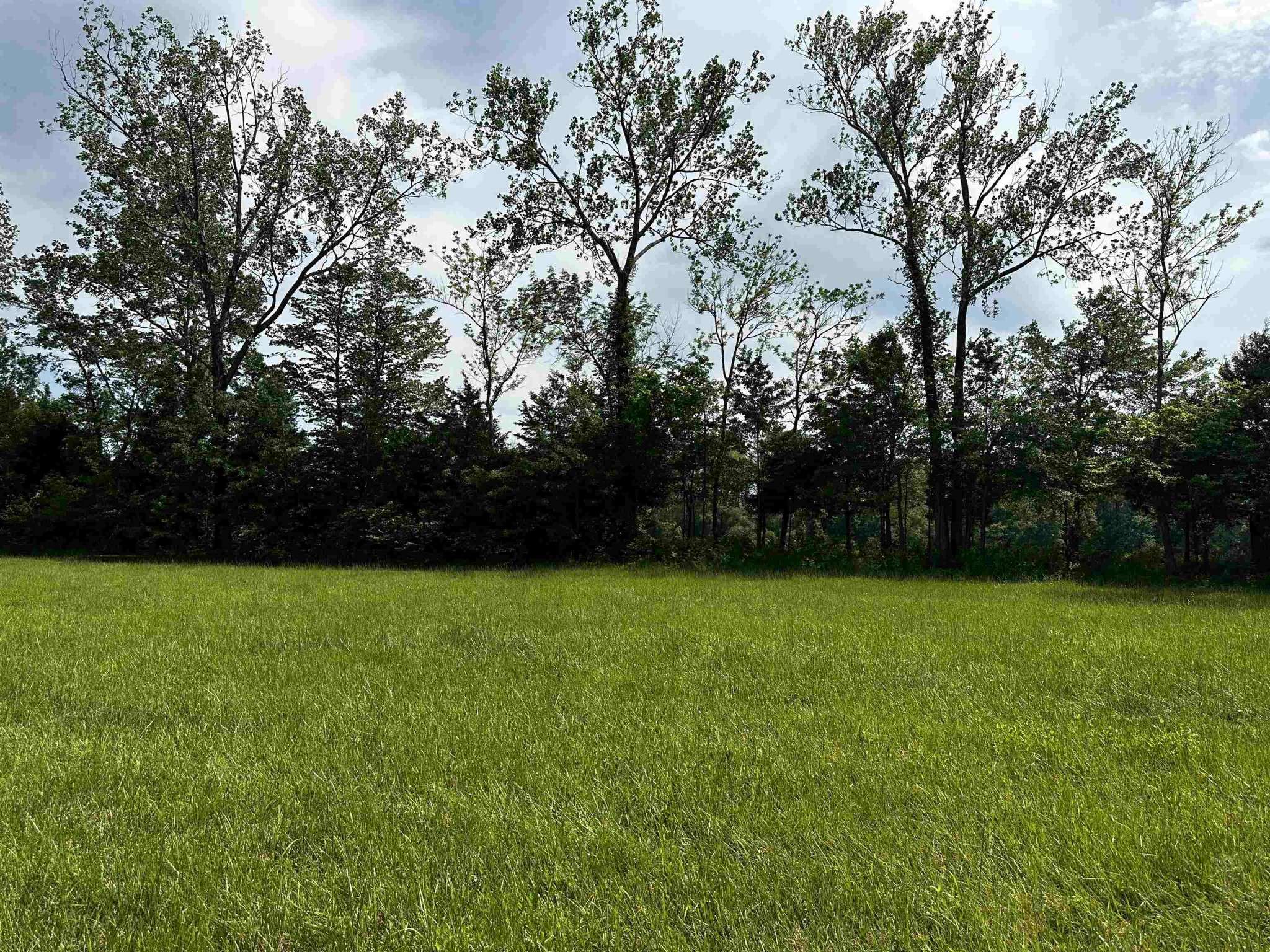 0 CATFISH LN, Crump, TN 38327