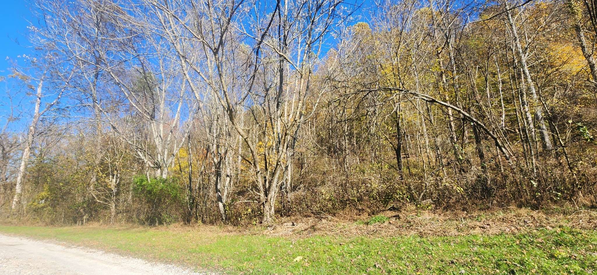 0 Ferguson Road, Cornersville, TN 37047
