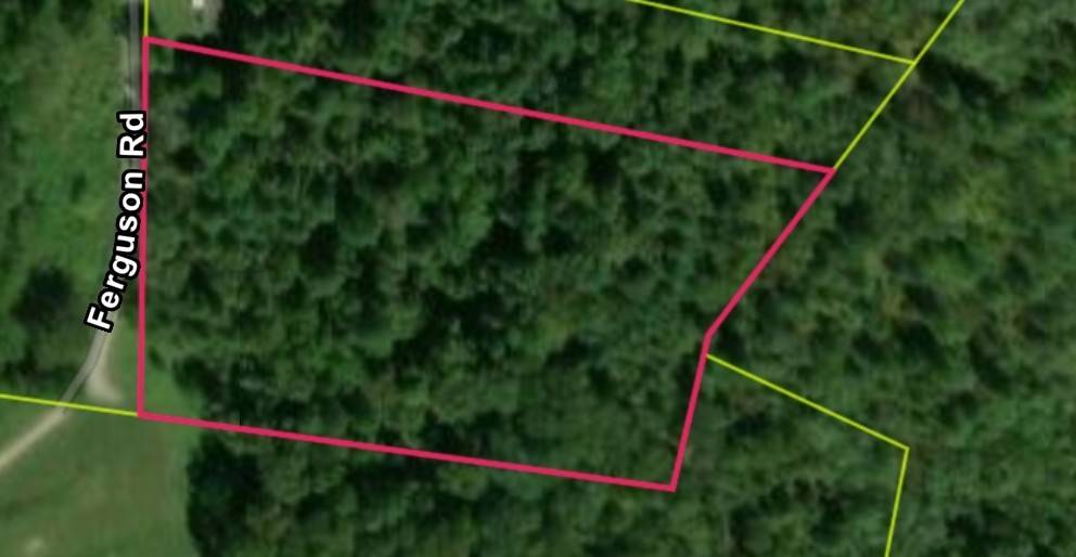 0 Ferguson Road, Cornersville, TN 37047