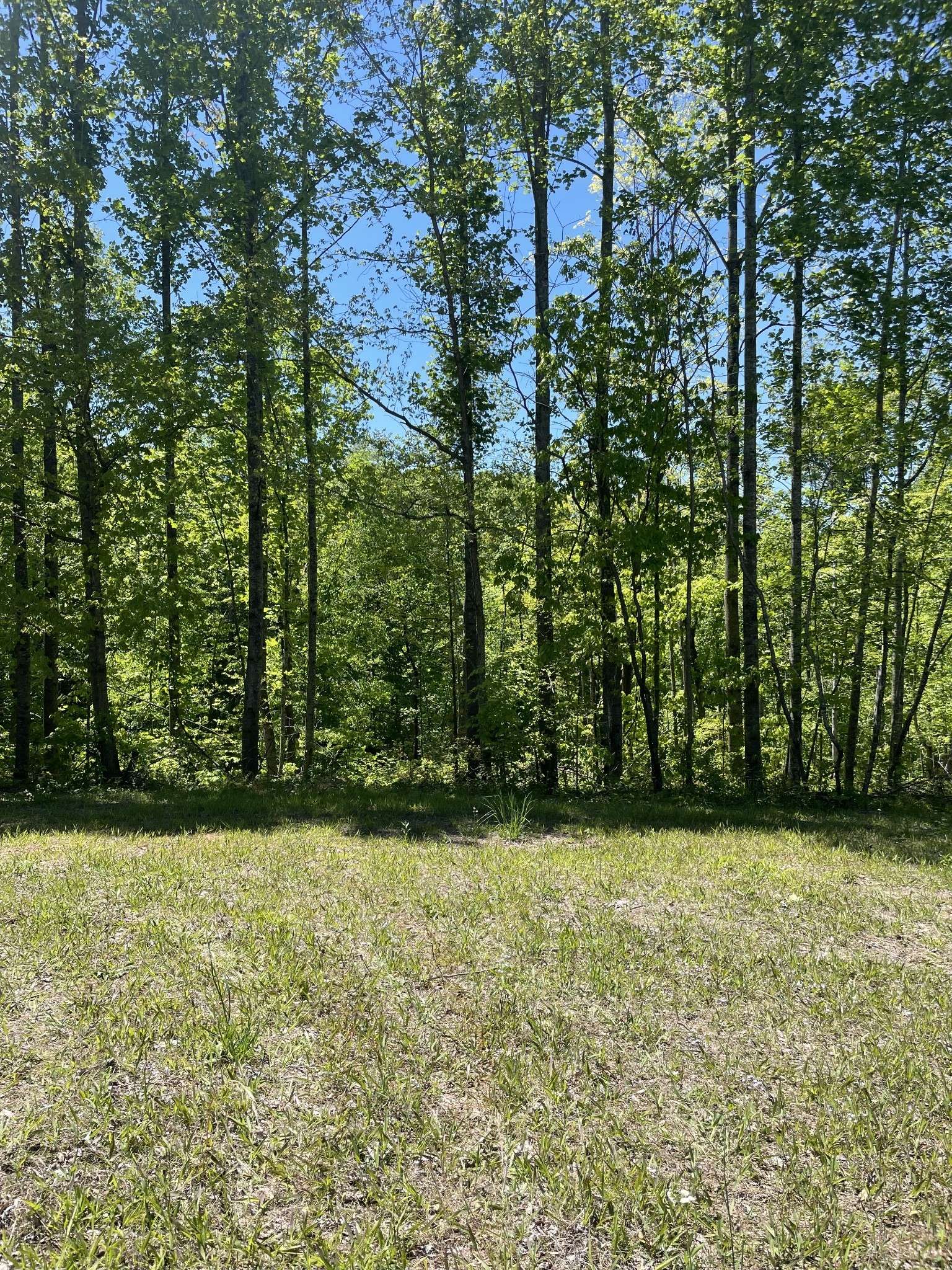 0 Highway 52 W, Lafayette, TN 37083