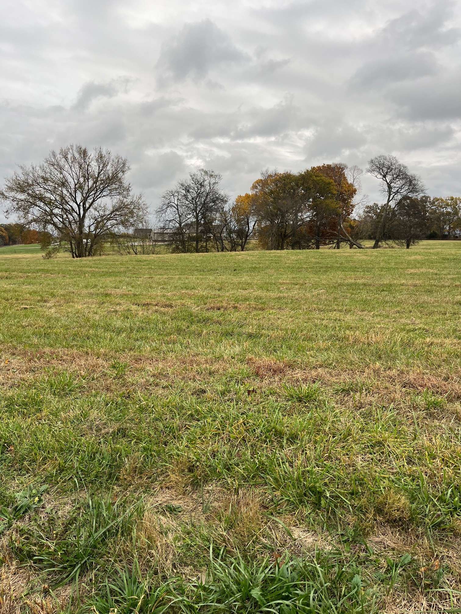 0 Glen Raven Road, Cedar Hill, TN 37032