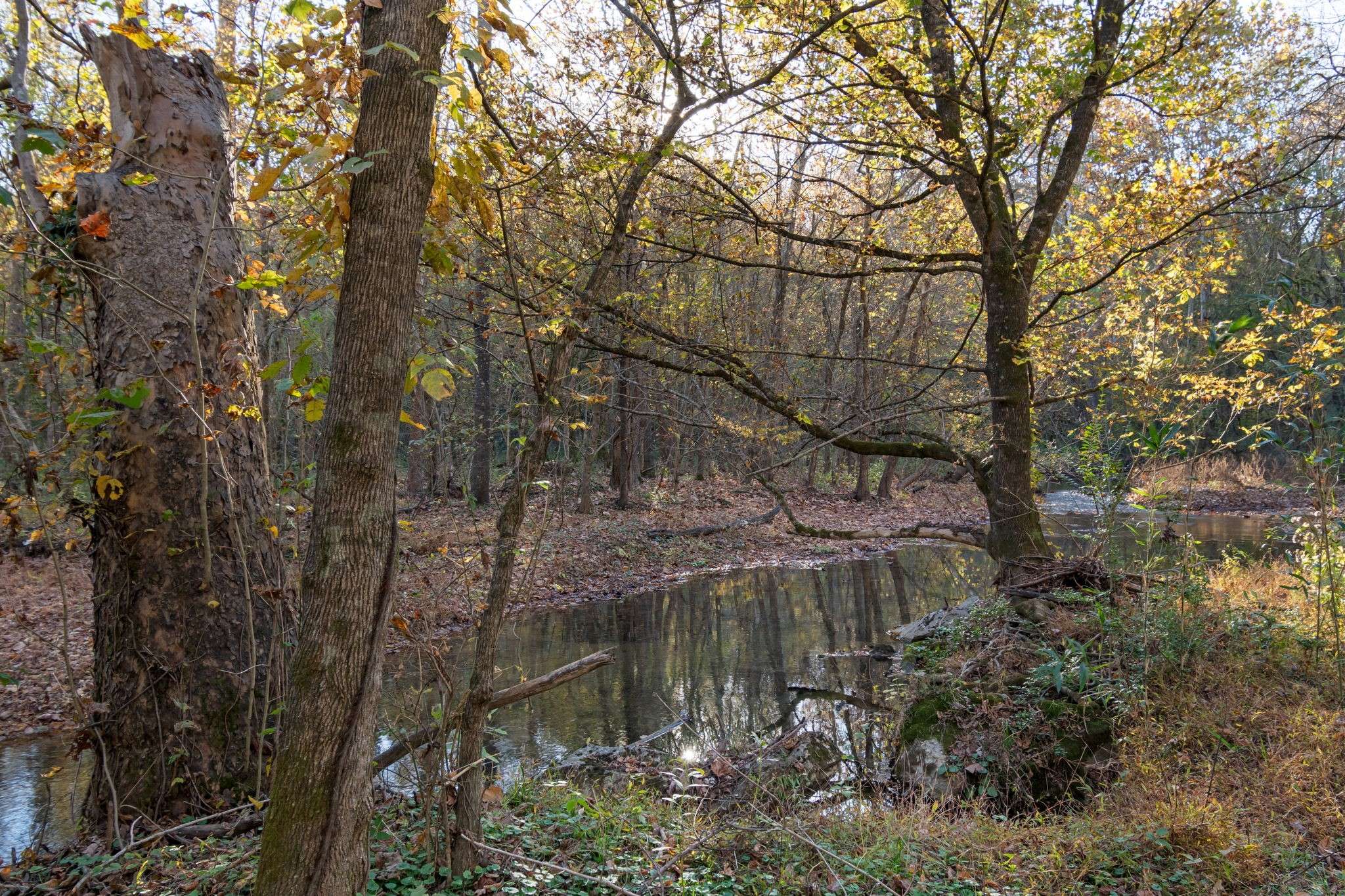 0 Short Creek Rd, Linden, TN 37096