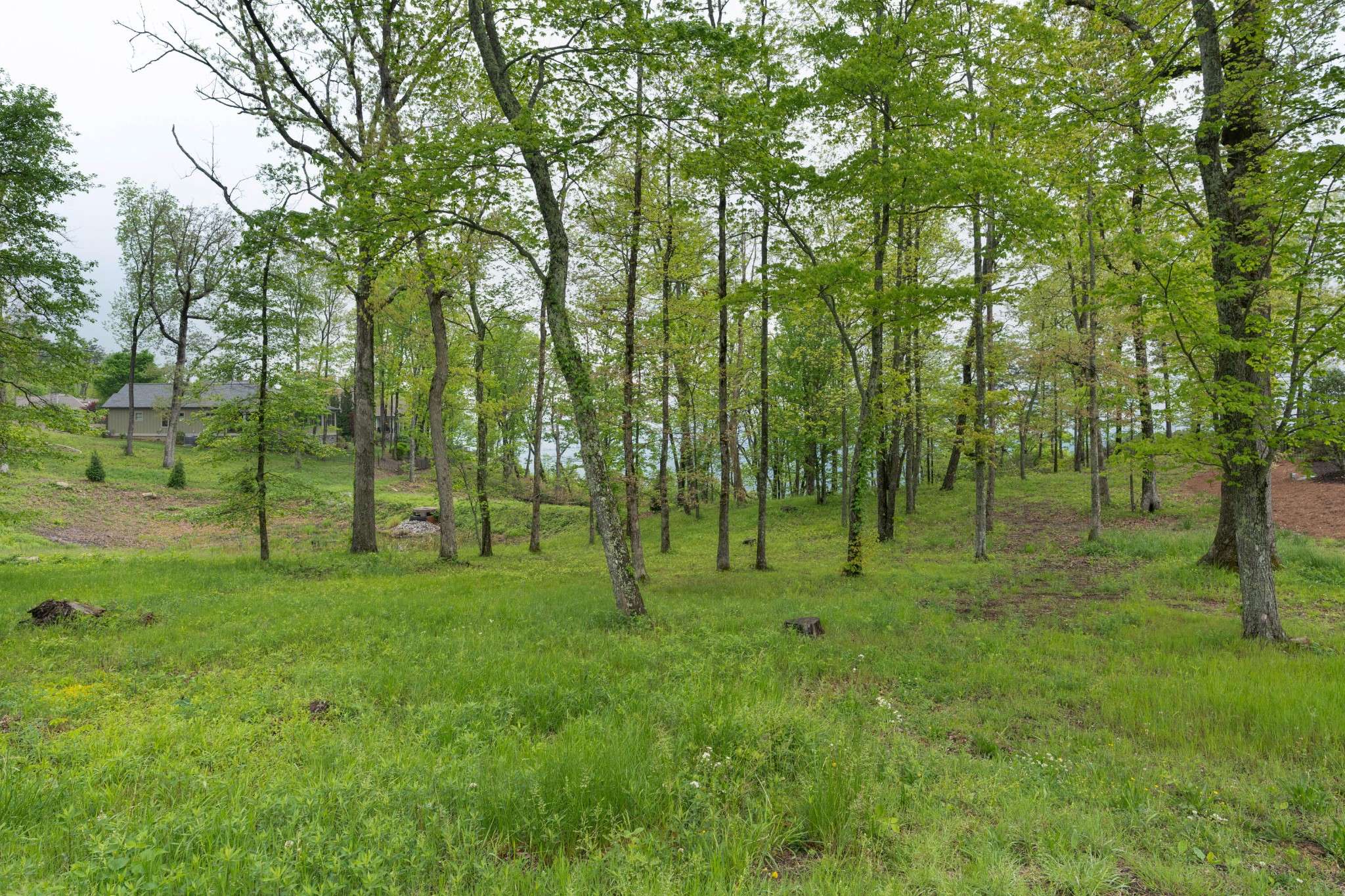 407 Brow Wood Lane, Lookout Mountain, GA 30750