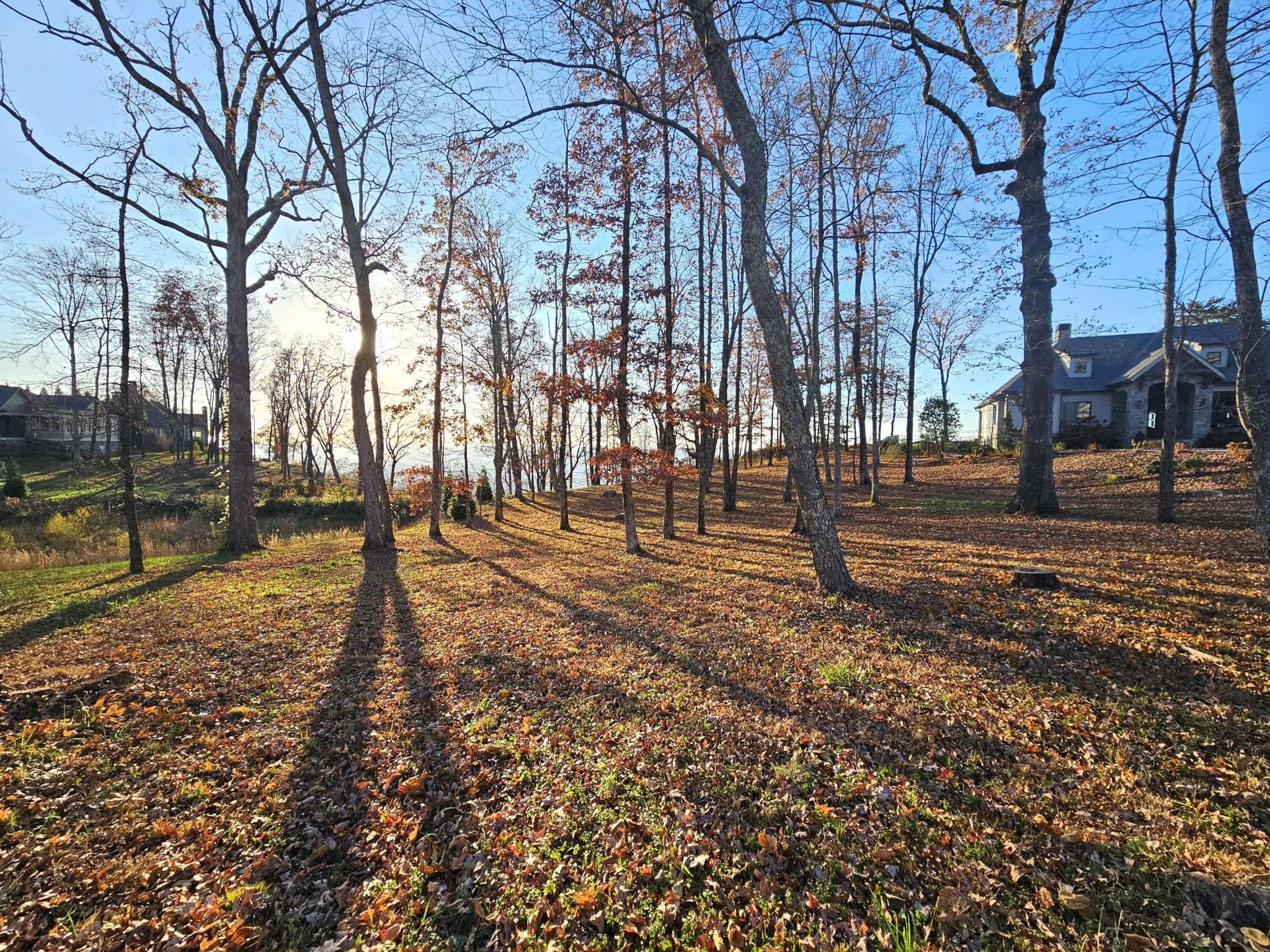 407 Brow Wood Lane, Lookout Mountain, GA 30750