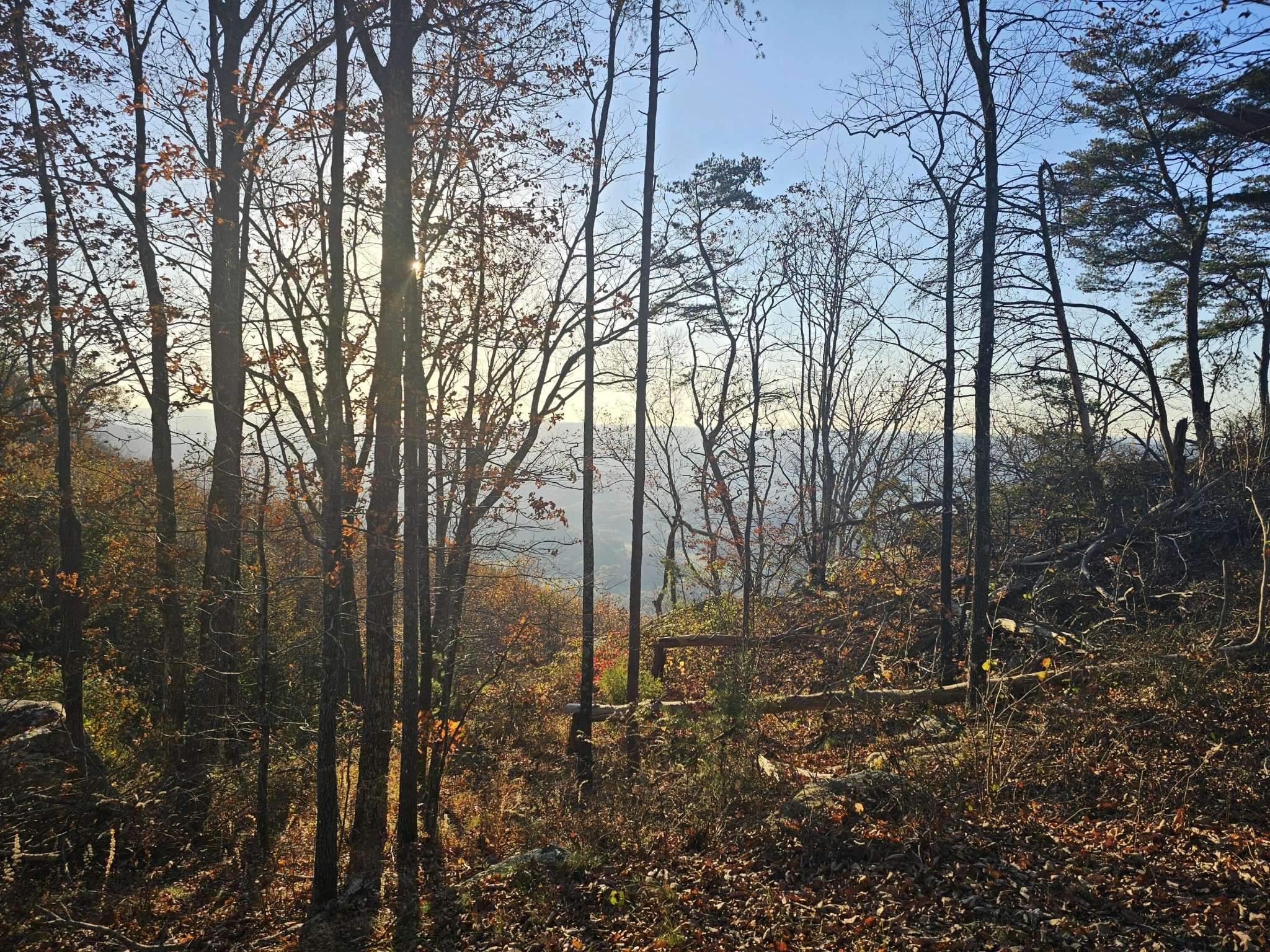 407 Brow Wood Lane, Lookout Mountain, GA 30750