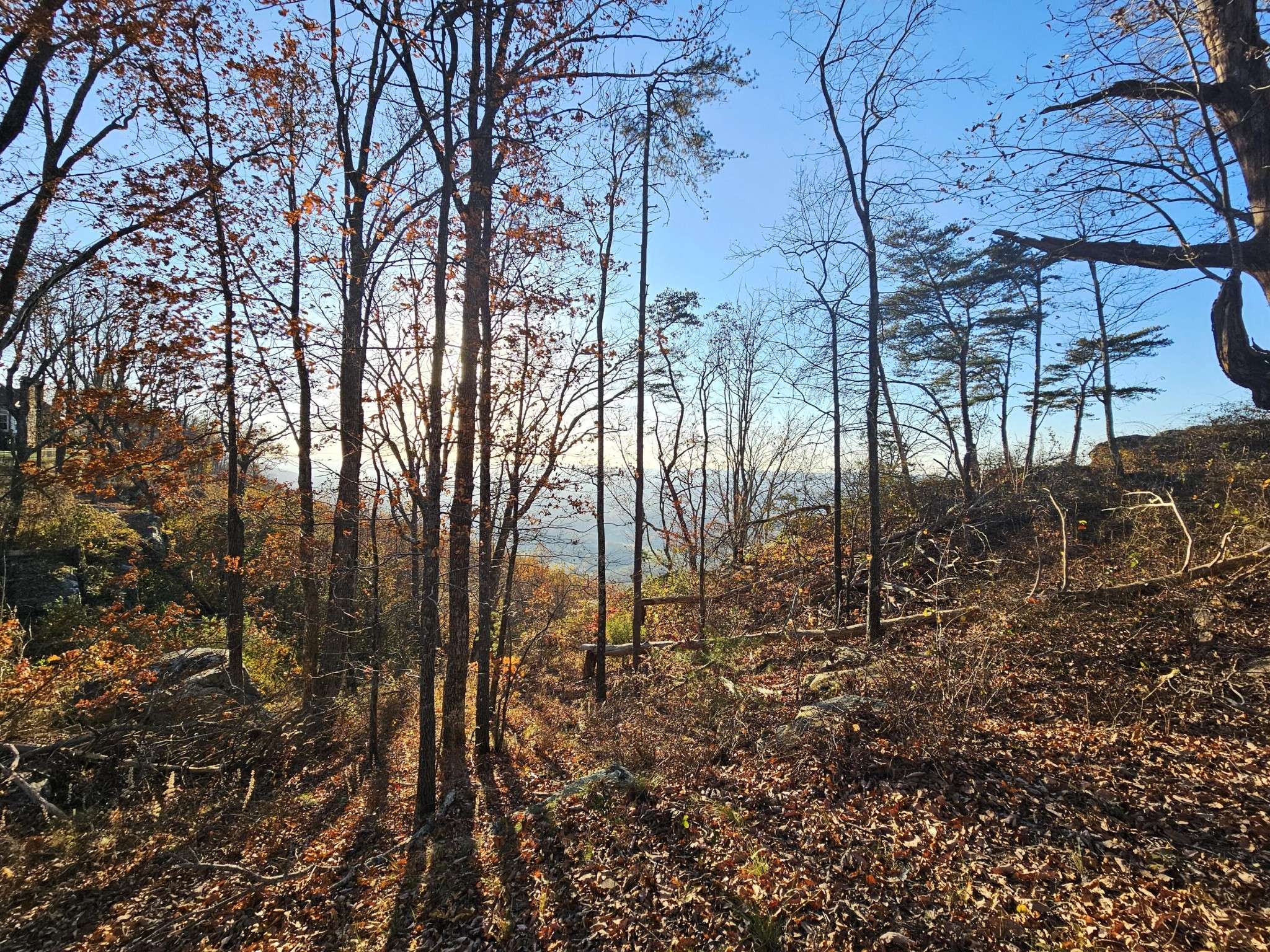 407 Brow Wood Lane, Lookout Mountain, GA 30750