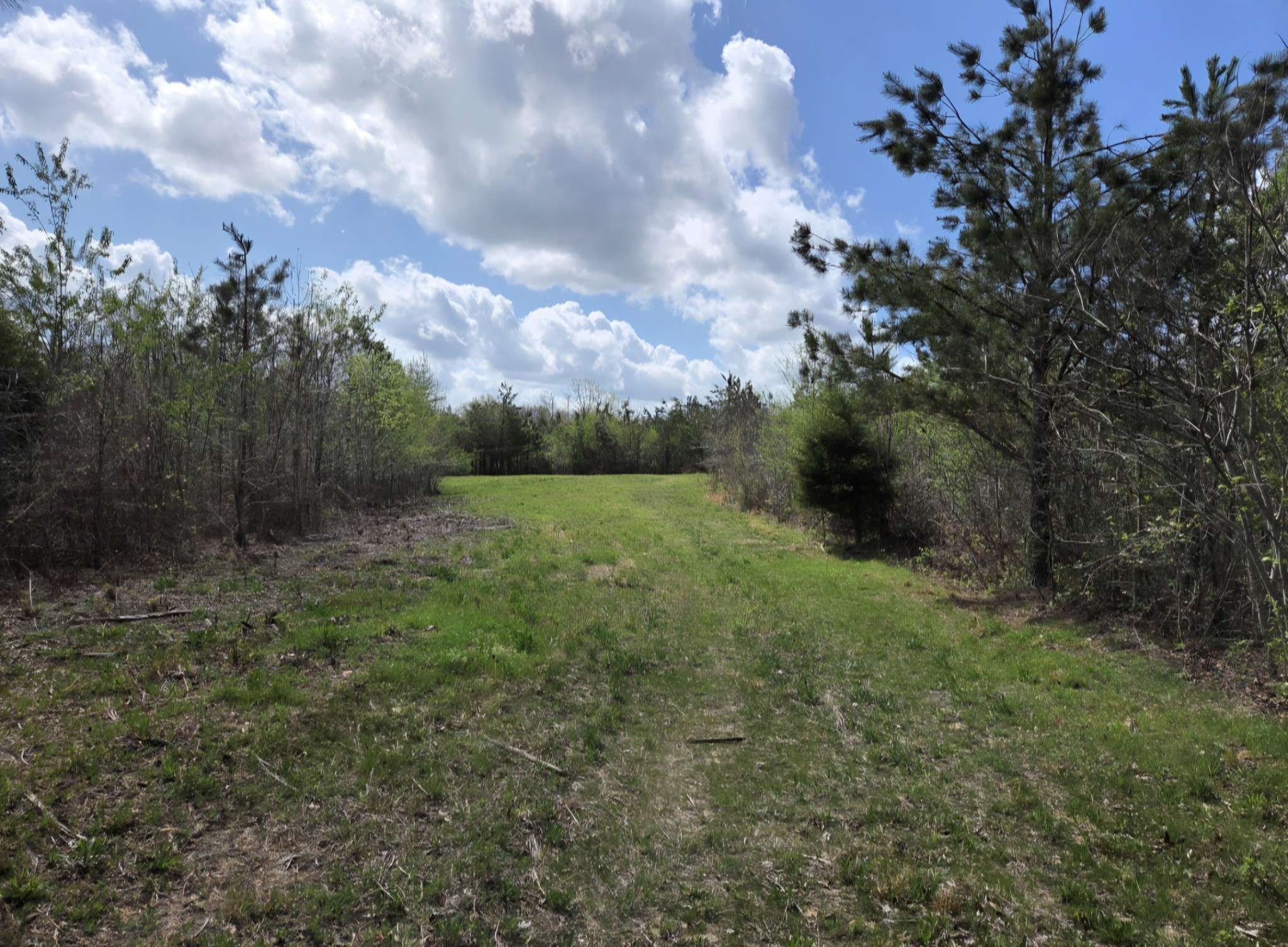 830 Twin Pines Overlook, Lobelville, TN 37097