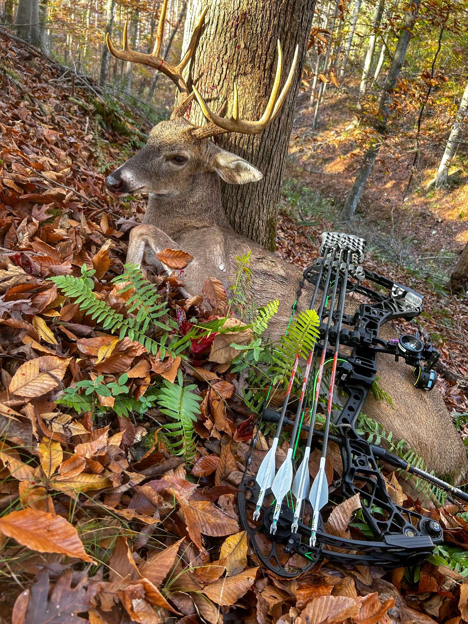 0 Chestnut Grove Rd, Pulaski, TN 38478